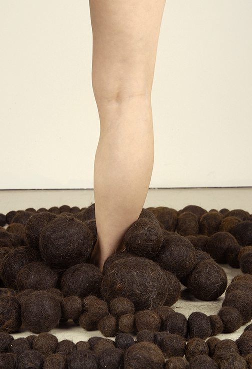   Attraction/Reaction , 2006 