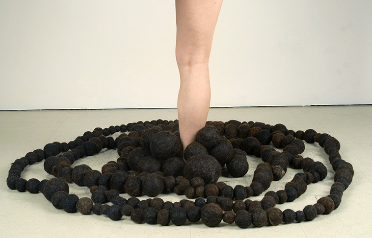   Attraction/Reaction , 2006 