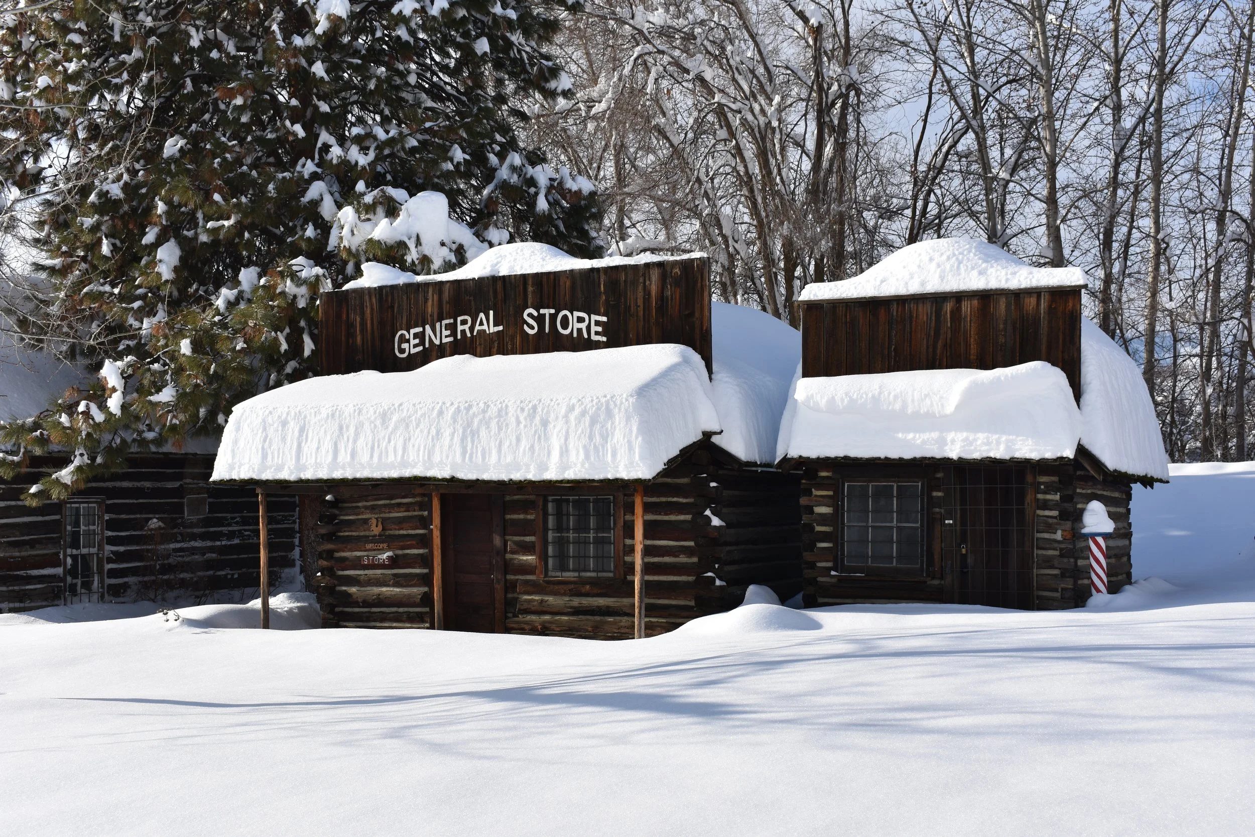 Winter Holiday opening