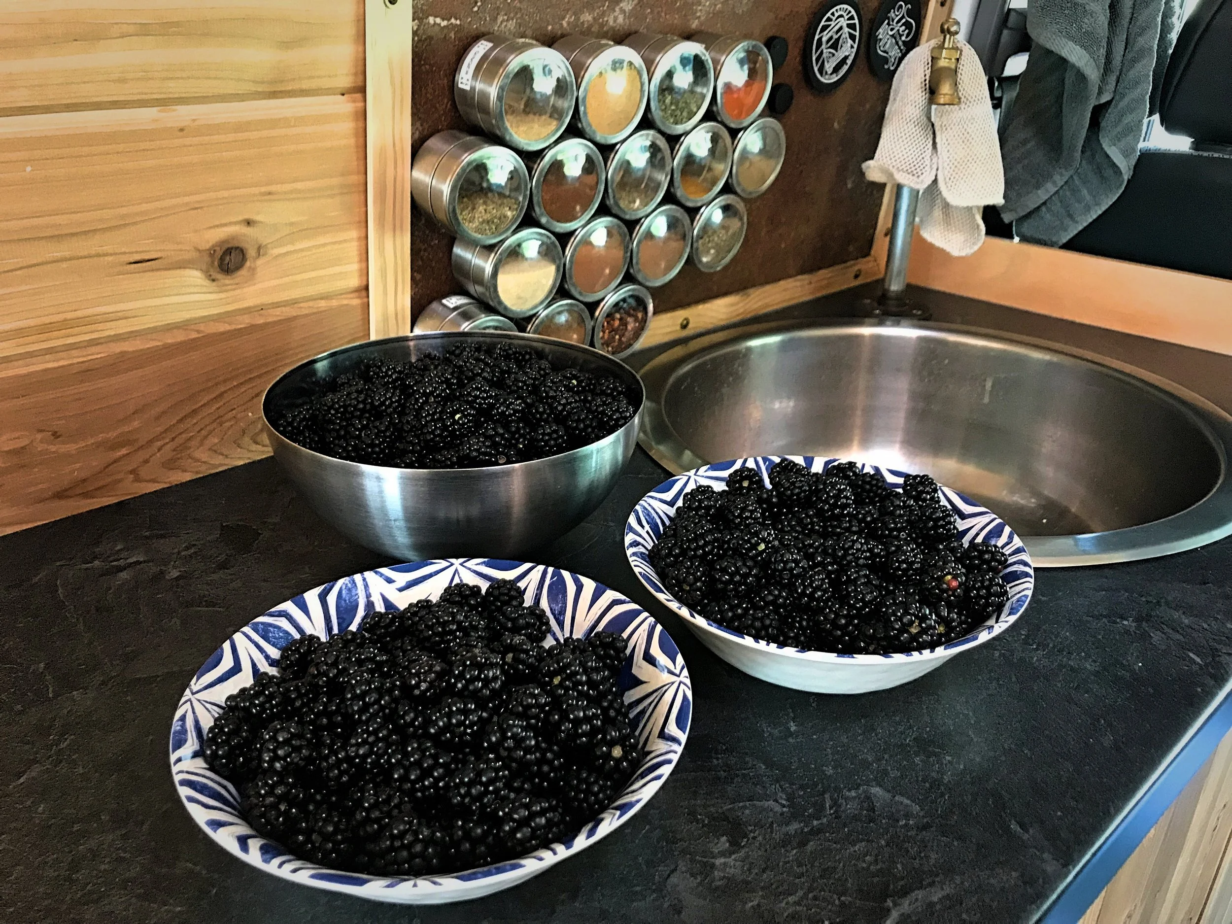 Look at the size of these berries!