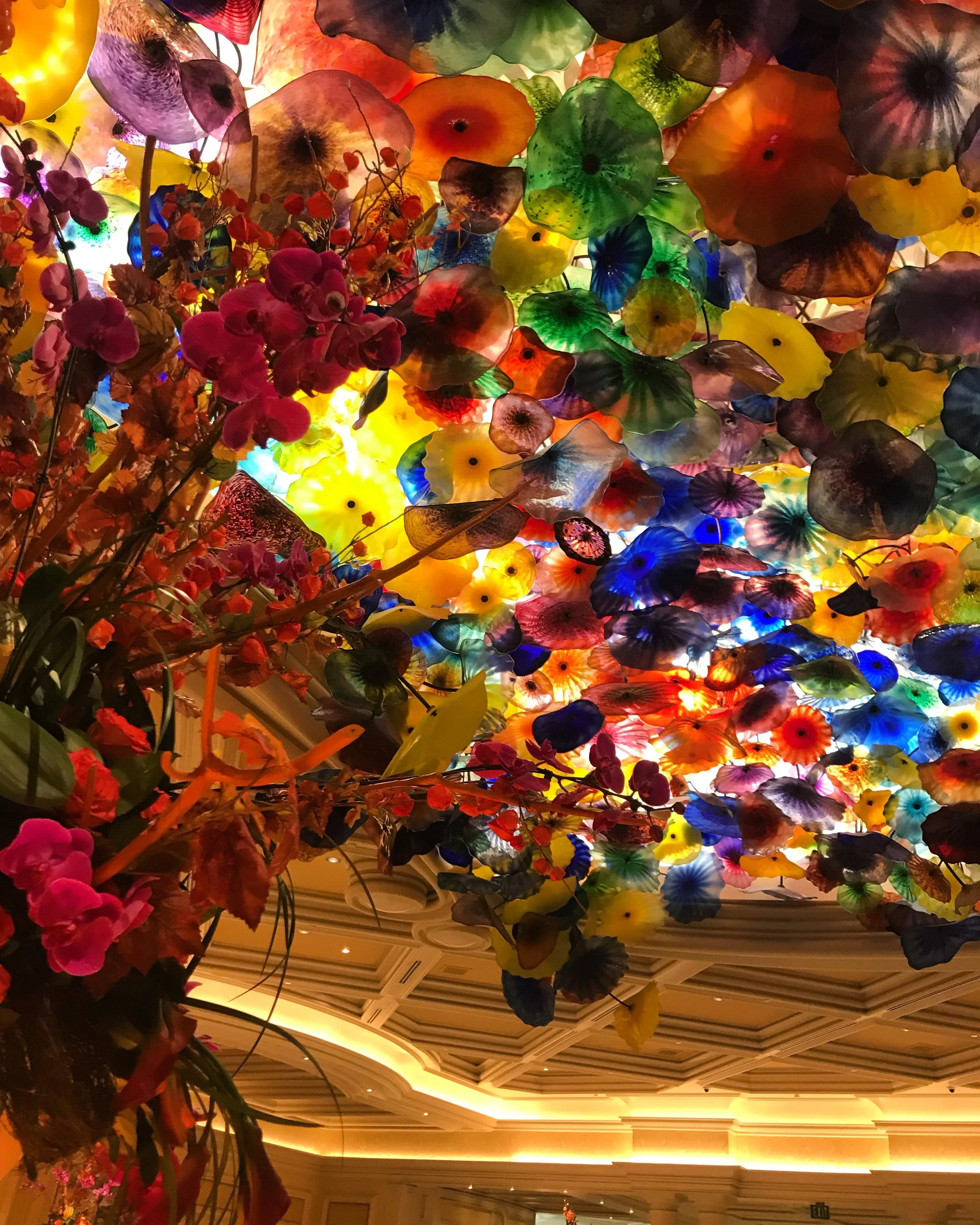 Dale Chihuly’s hand-blown glass flowers.