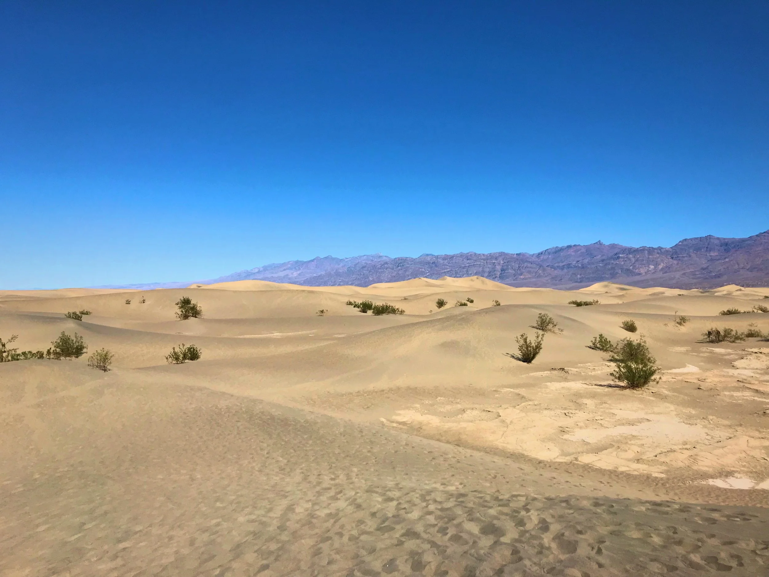 The dunes are fairly short when you get into them.