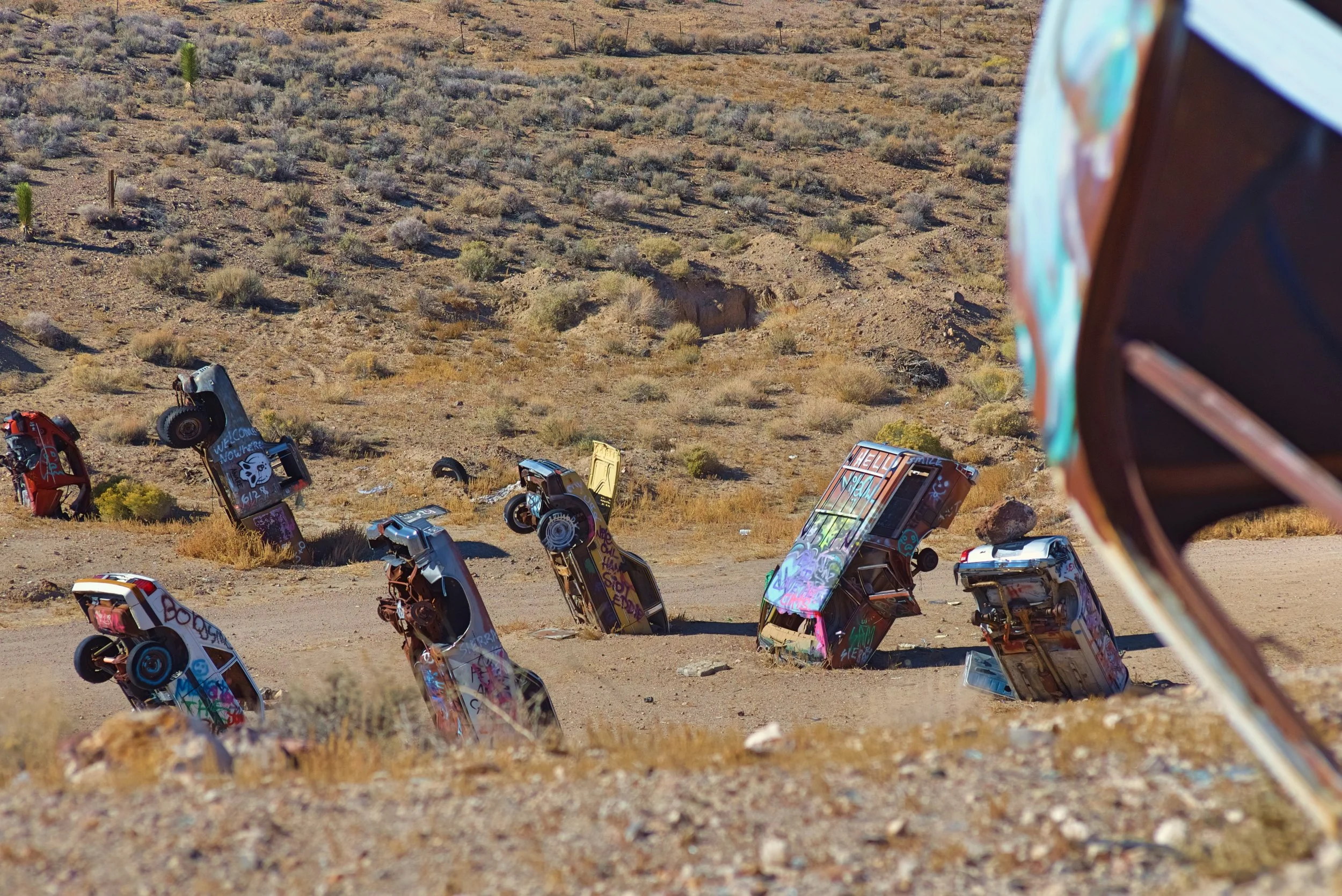 There are probably about 40 cars, trucks, and buses sprouting out of the desert at different angles.