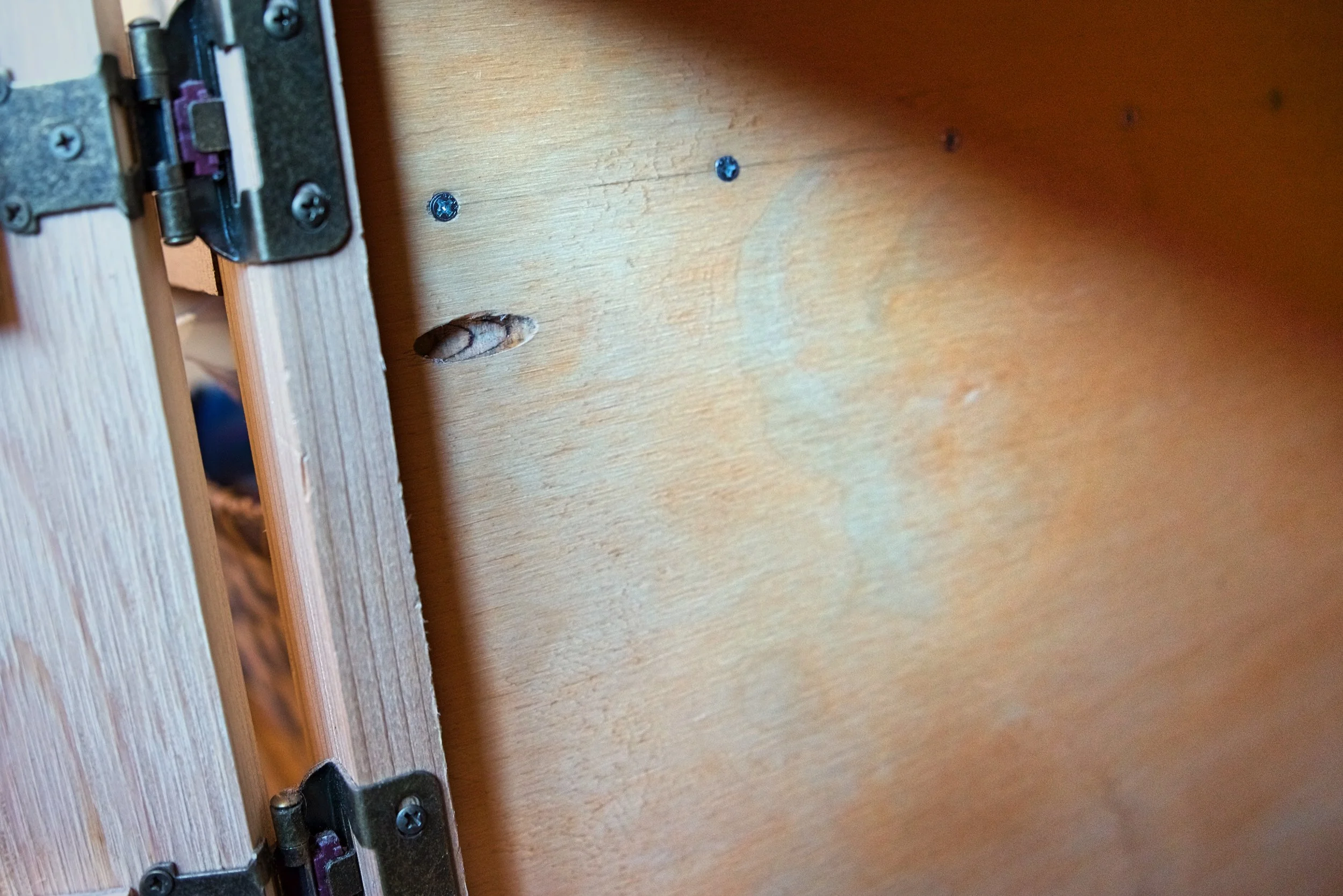 Here is one of the pocket holes that we used extensively throughout this build.