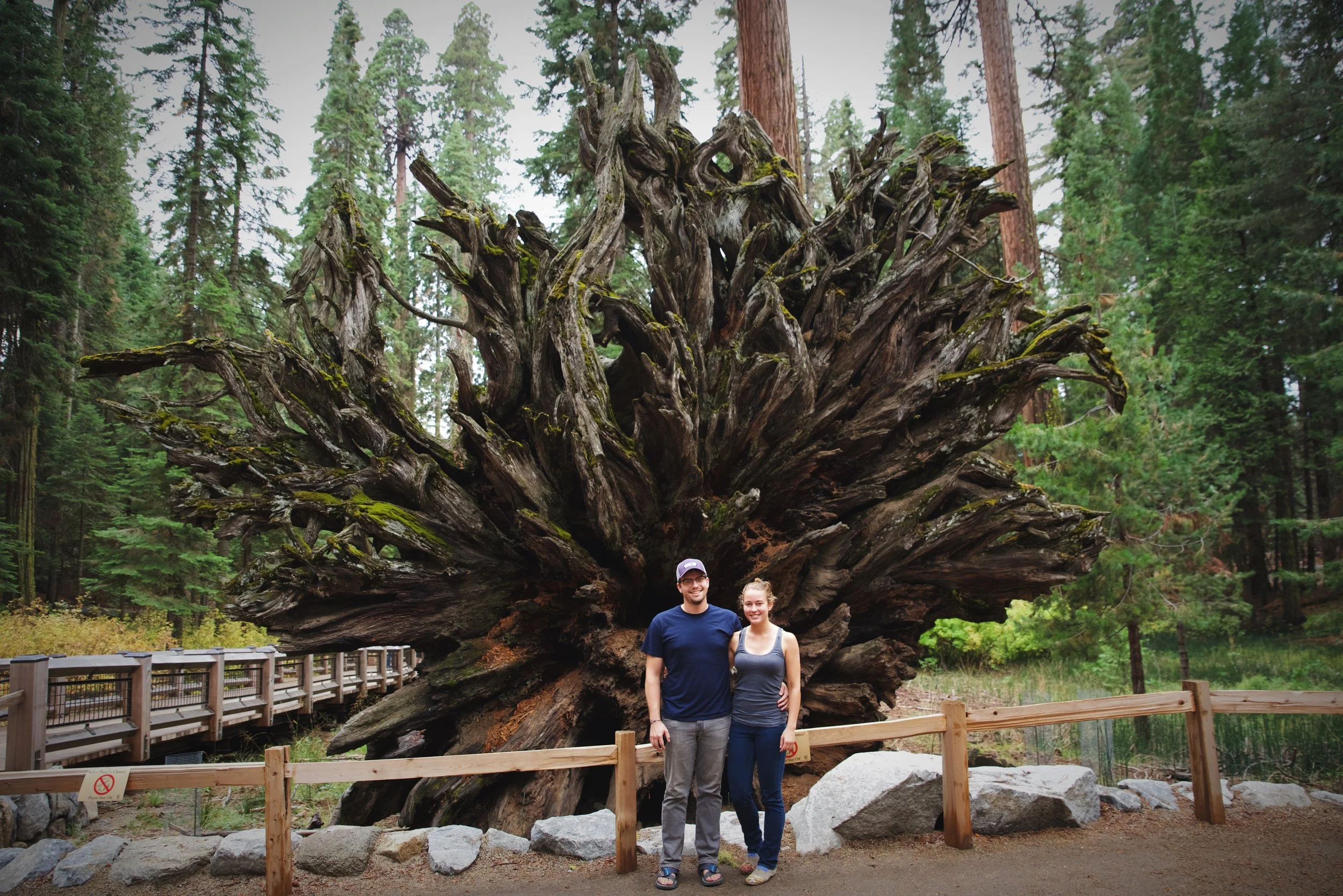 Posing in front of the Fallen Monarch in Mariposa Grove.