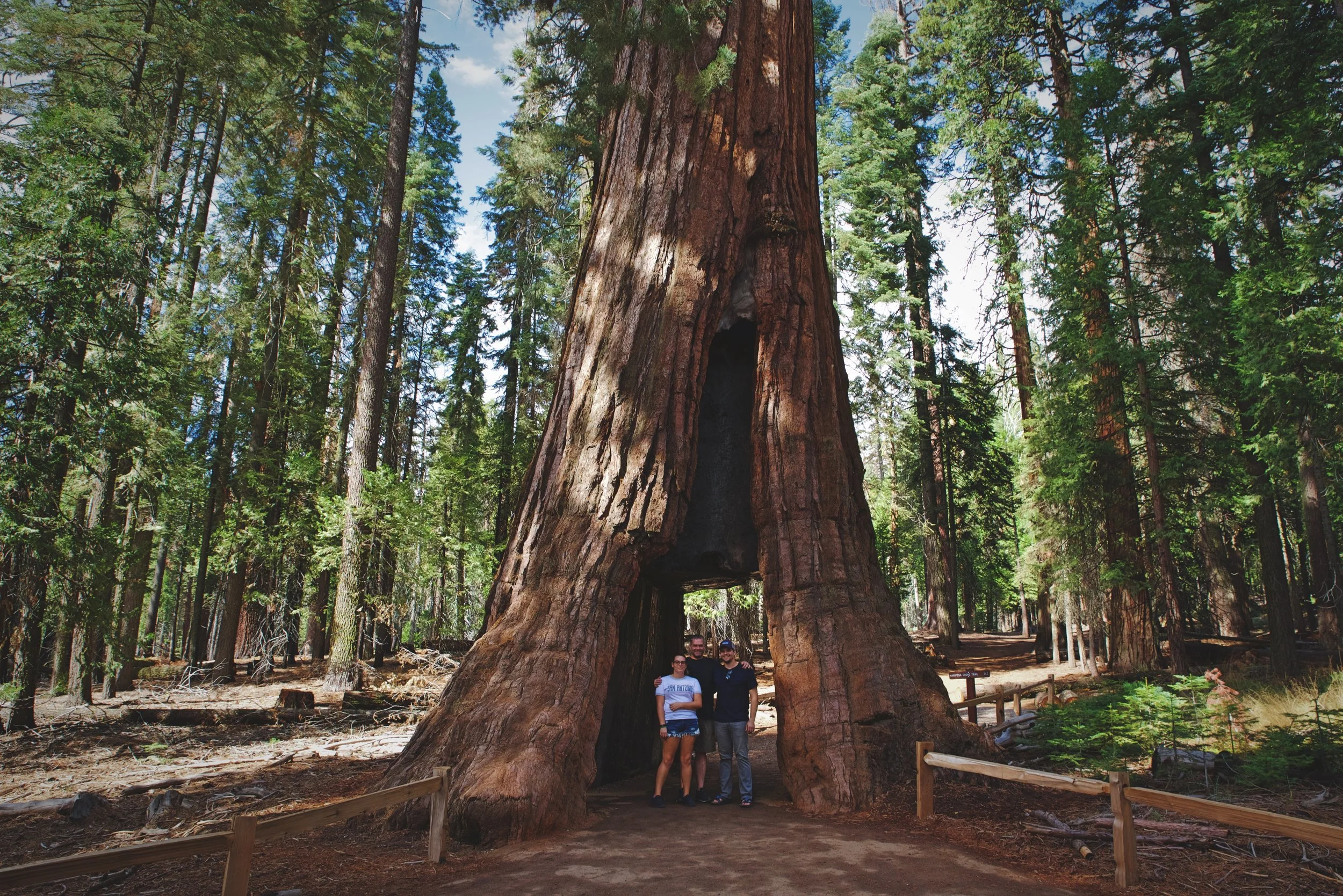 Ian, his dad, and his sister inside the California Tunnel Tree in Mariposa Grove.