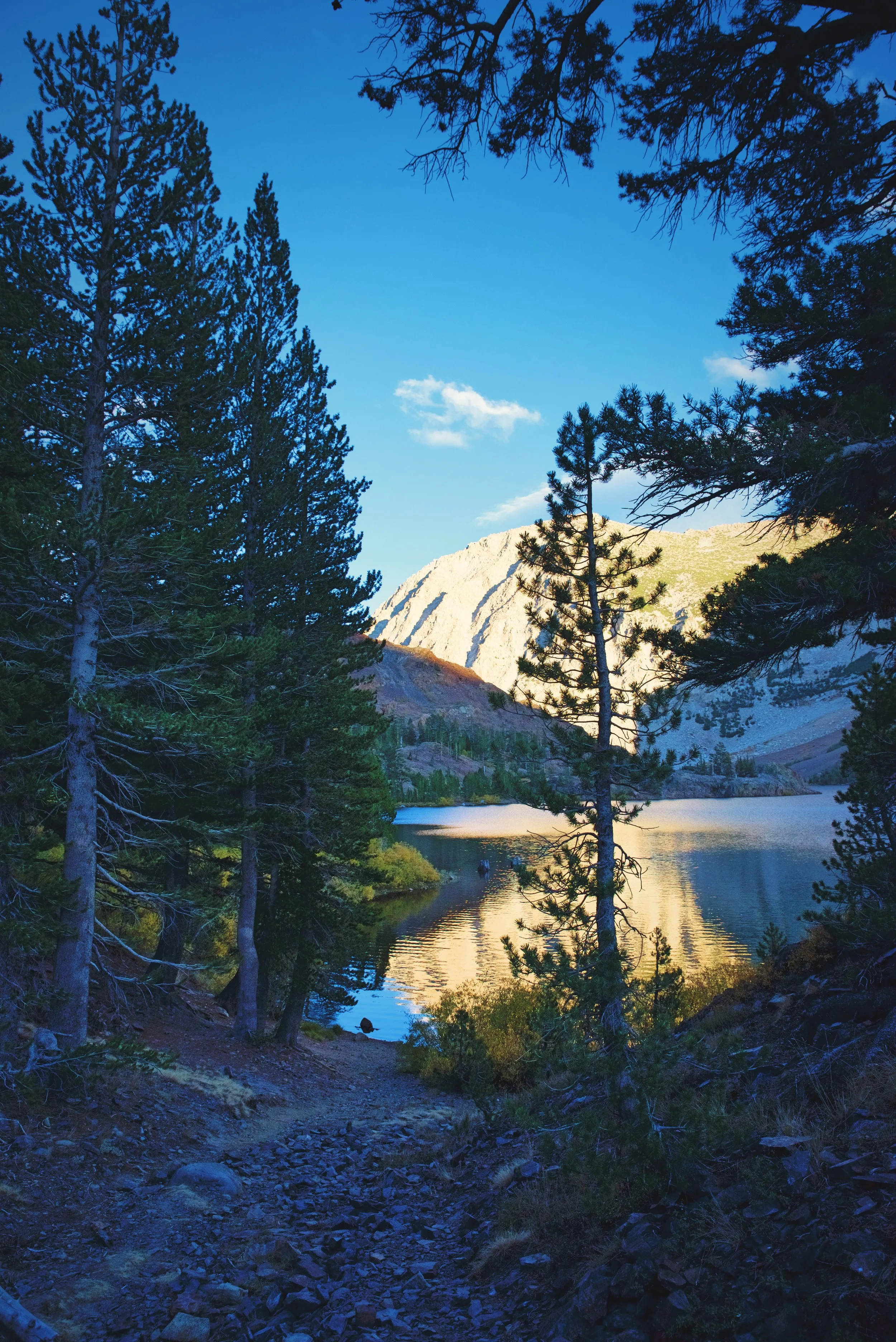 Another picture of the camping spot by the beautiful lake by the Tioga Pass Entrance.