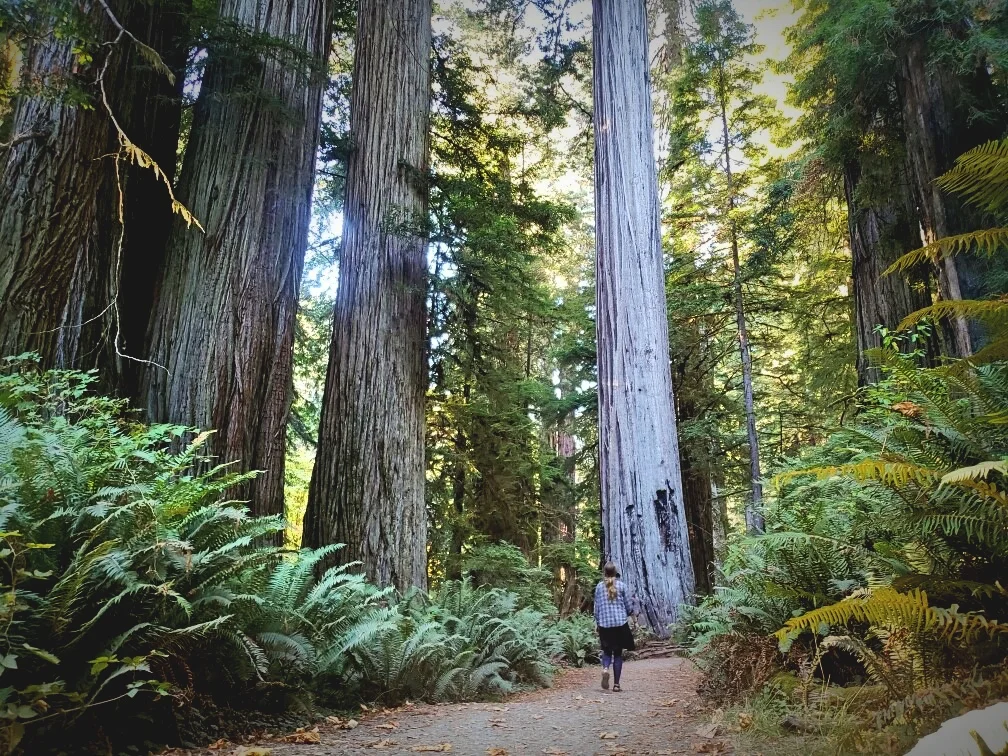 This is the kind of place that makes you feel very small.