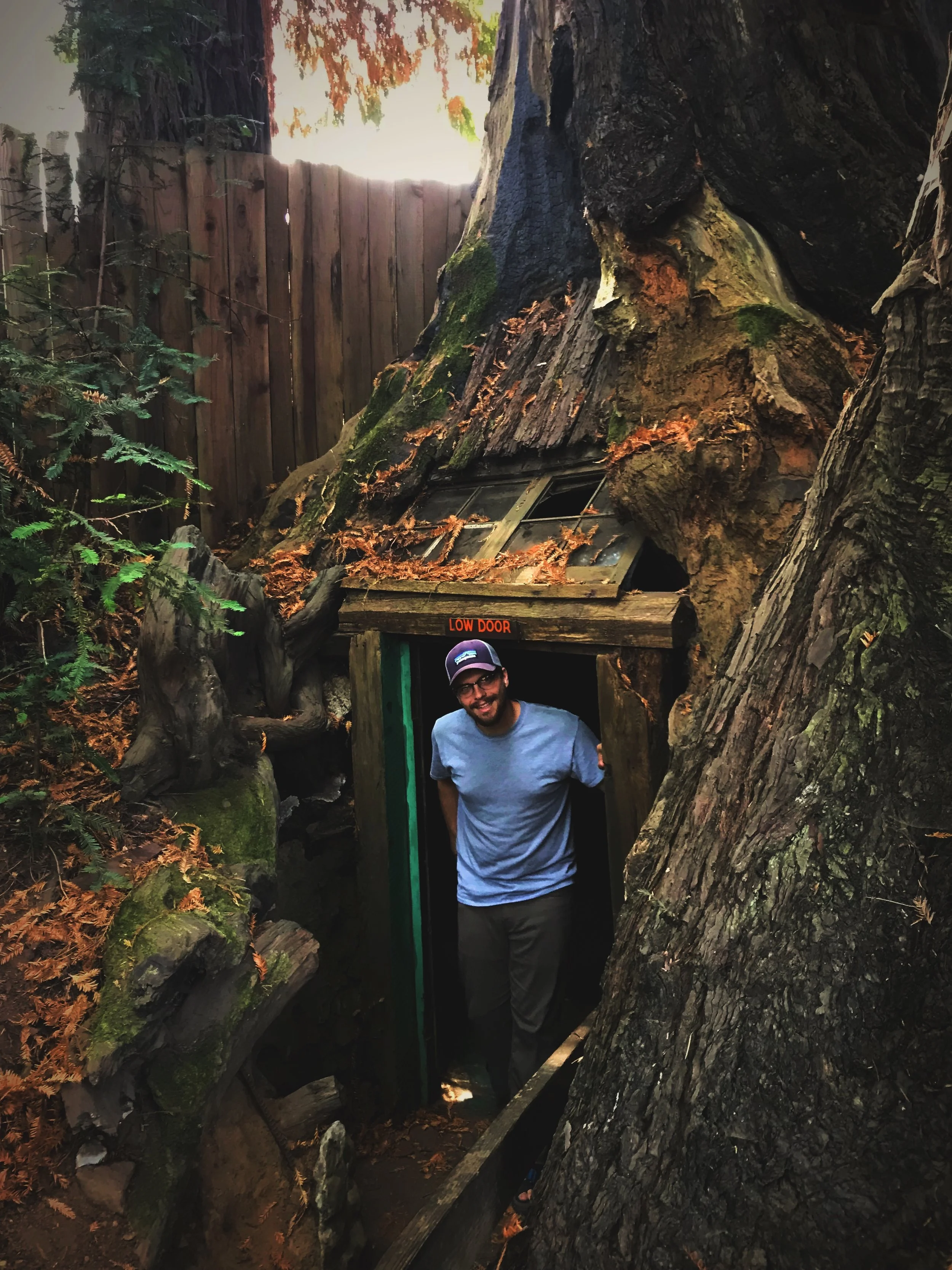 Ian emerging from the dark 20-foot-round, hollowed out stump house.