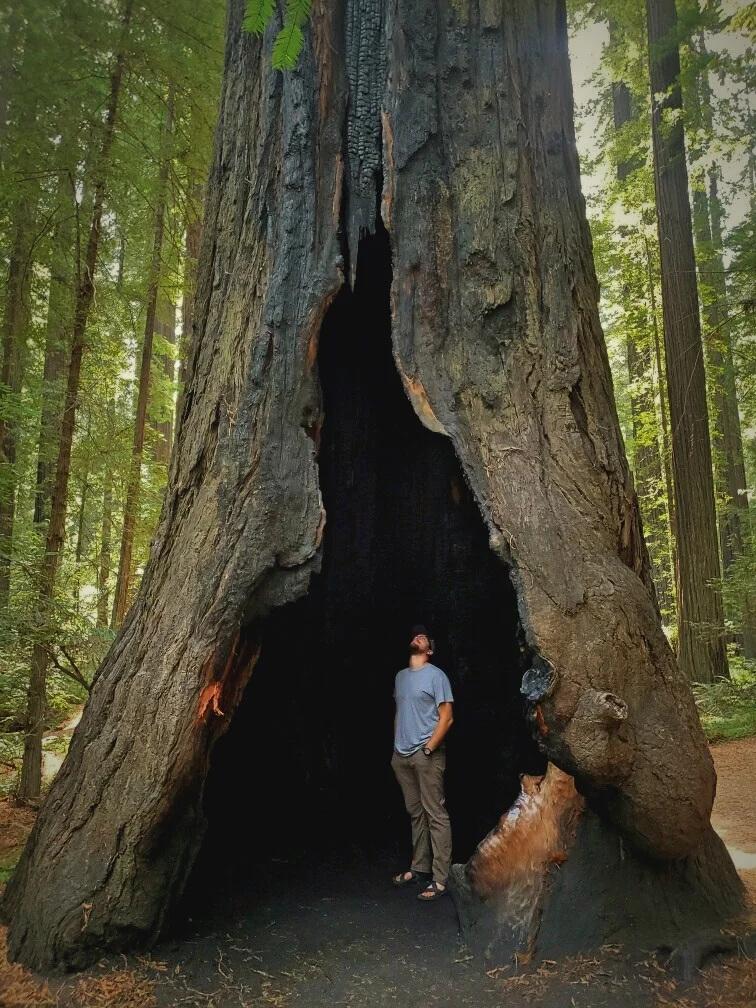 IanstandinginaHollowRedwood.jpg