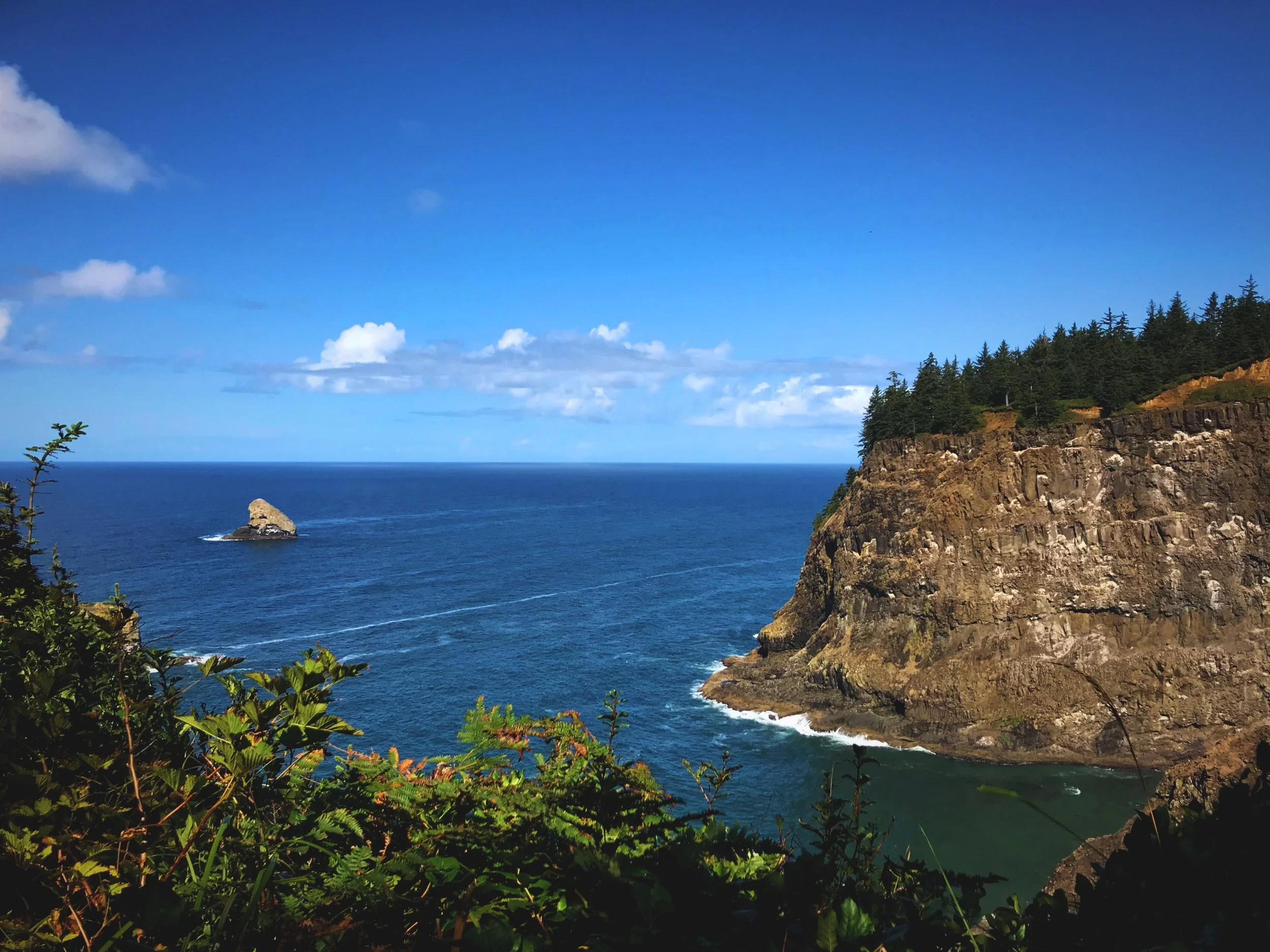 We saw a pod of gray whales breaching just off the tip of the cliff in this picture.