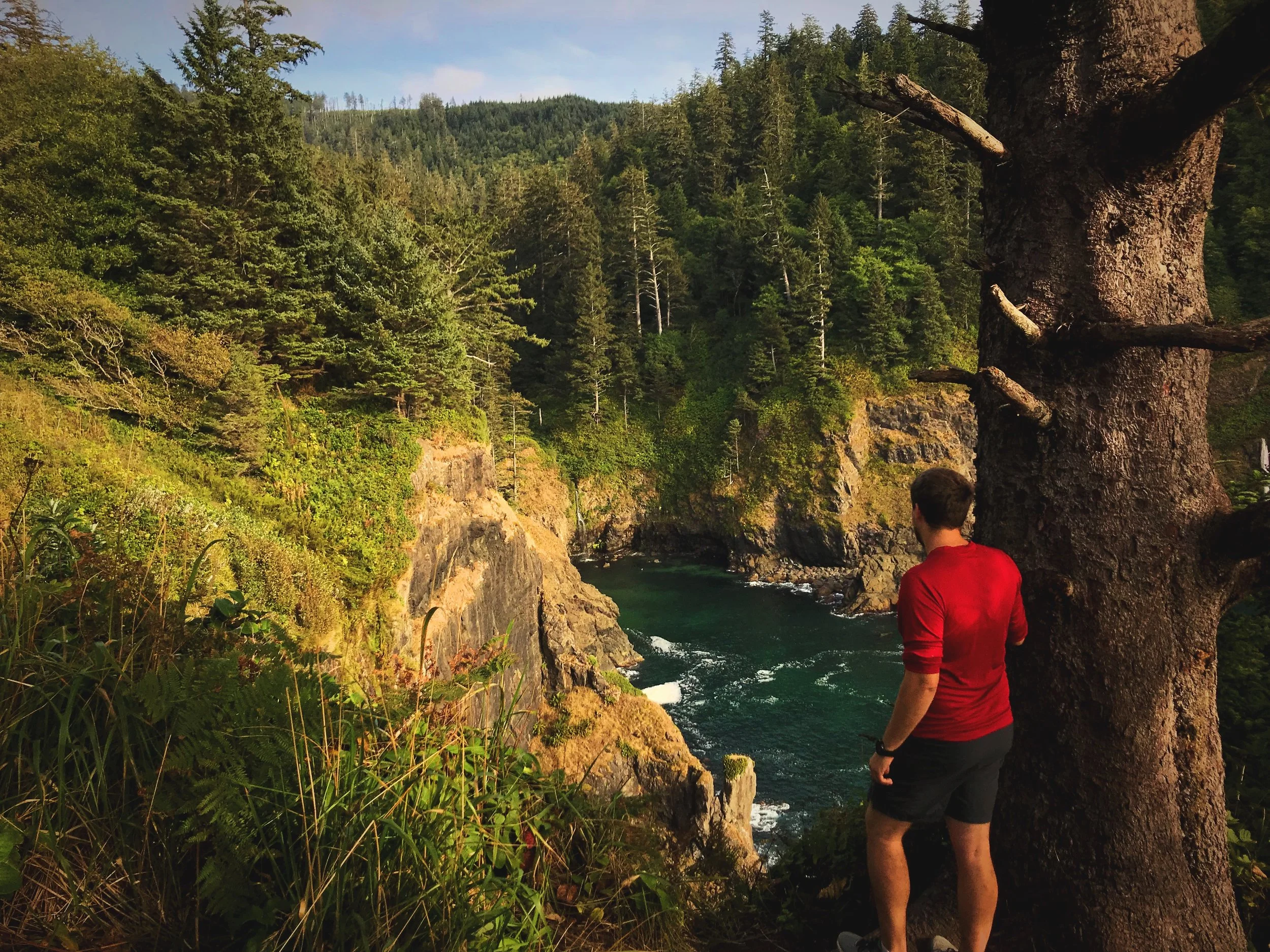 We could hear sea lions barking in the next cove over, but we never saw any on this run.