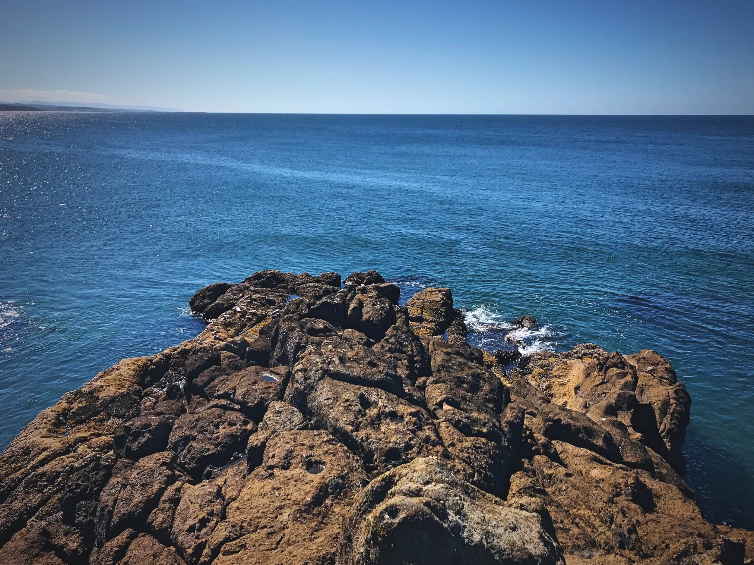 At the end of the Quarry Cove Trail, you can scramble onto outcrops of rock that go out into the cove.