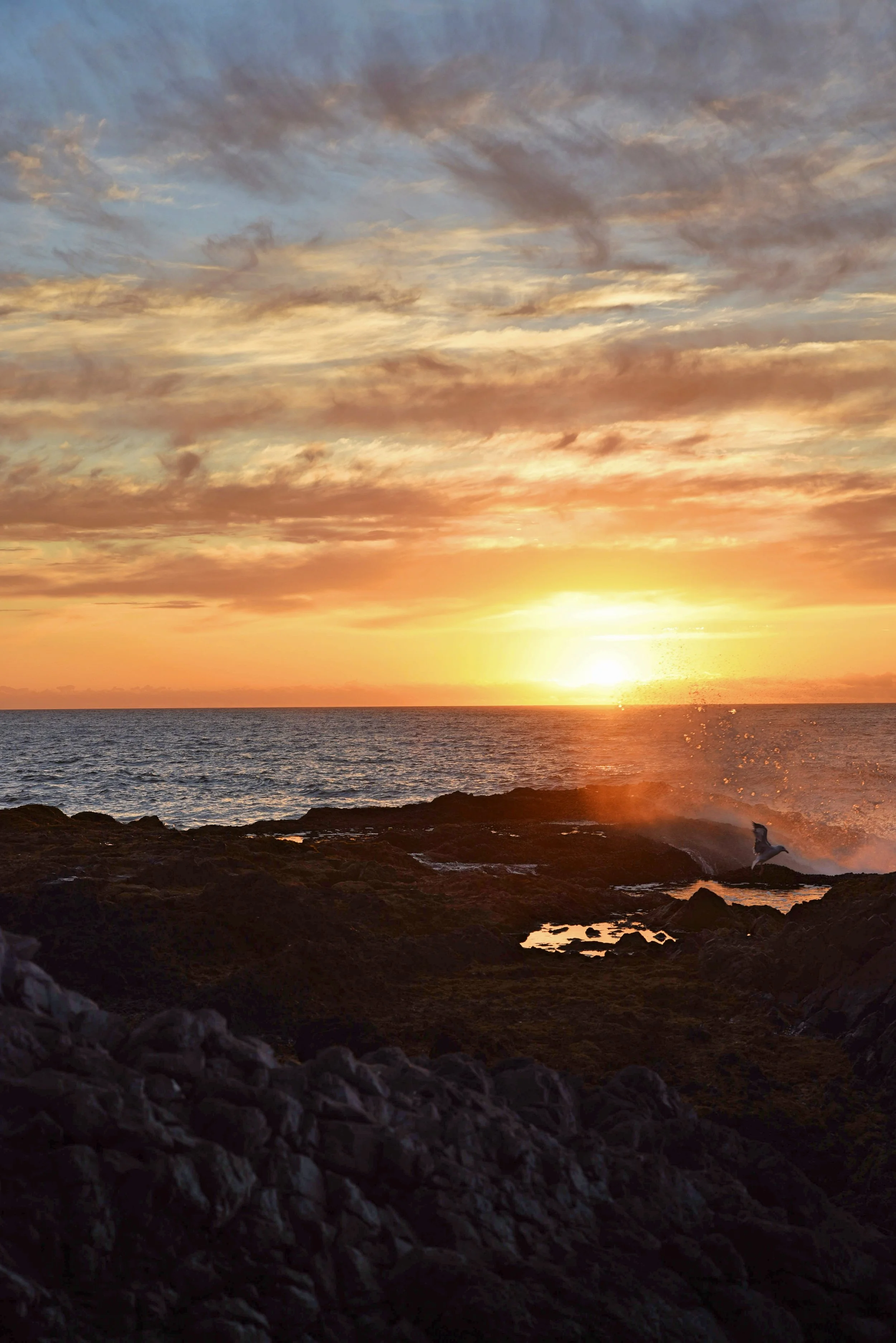 Highway 101 allows you to spend every night next to the Pacific Coast—which means sunsets every night!
