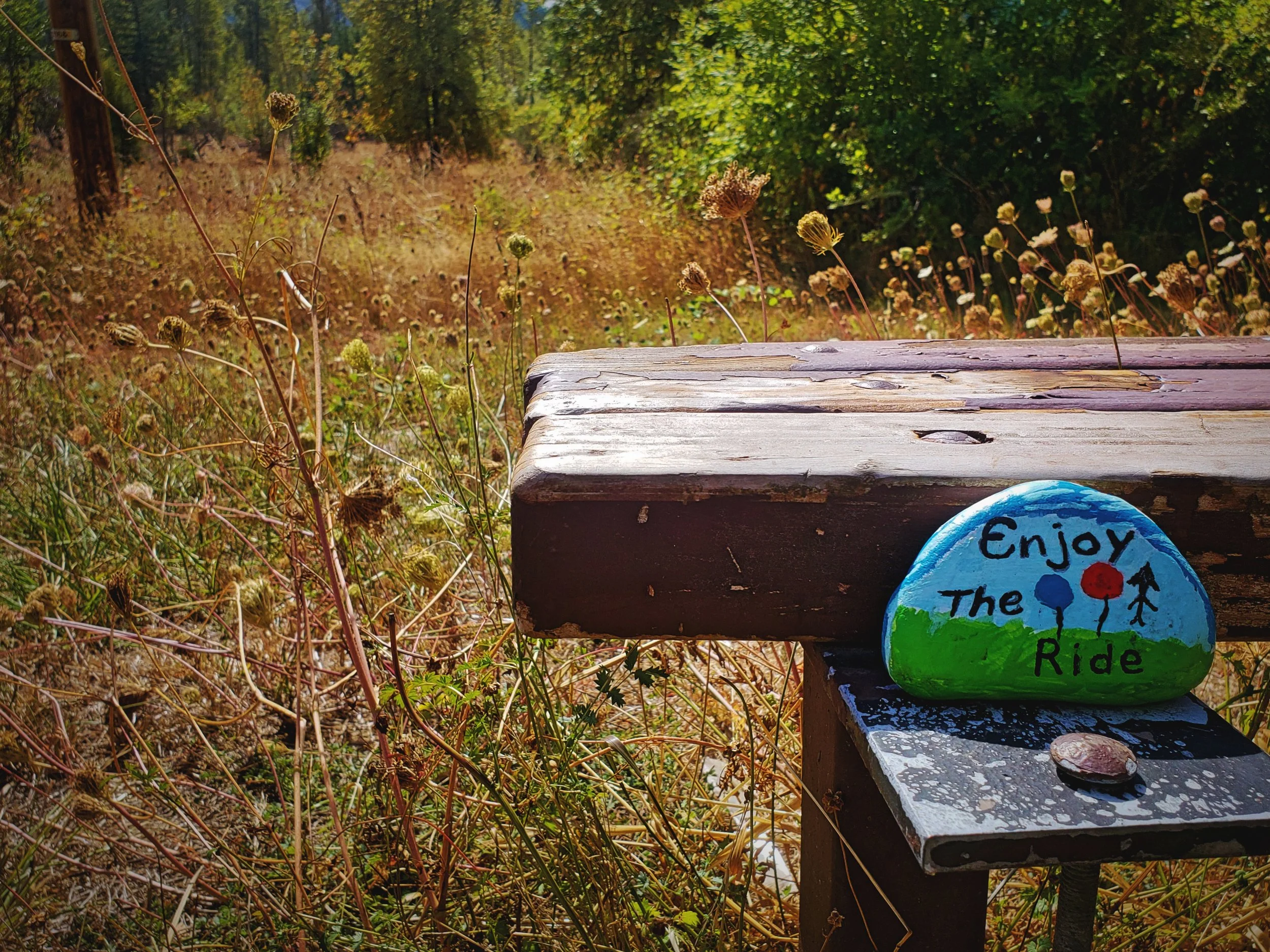 We noticed this cute little painted rocks at one of the rest areas along the trail.
