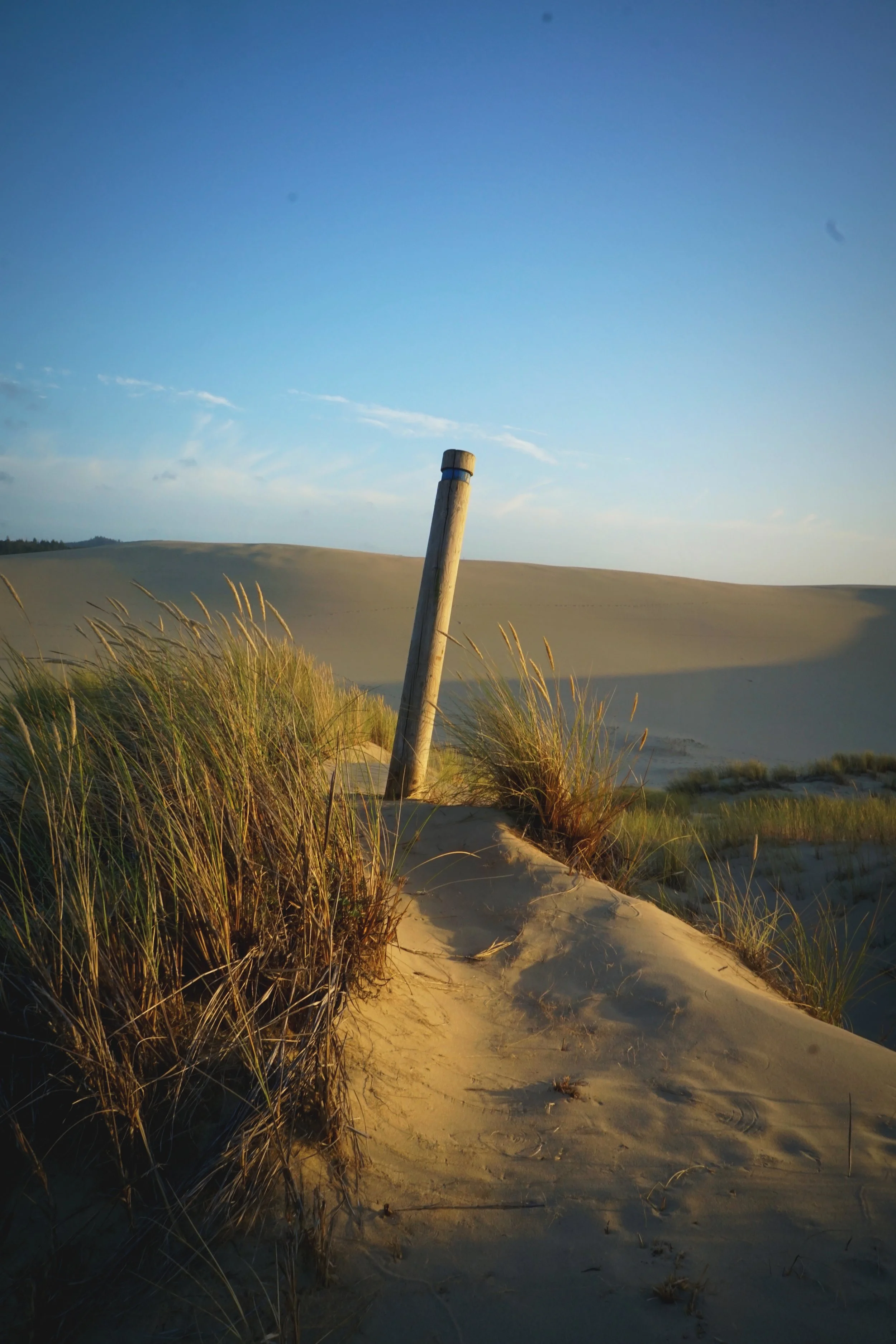 These posts help you find your way through the dunes and to the beach.