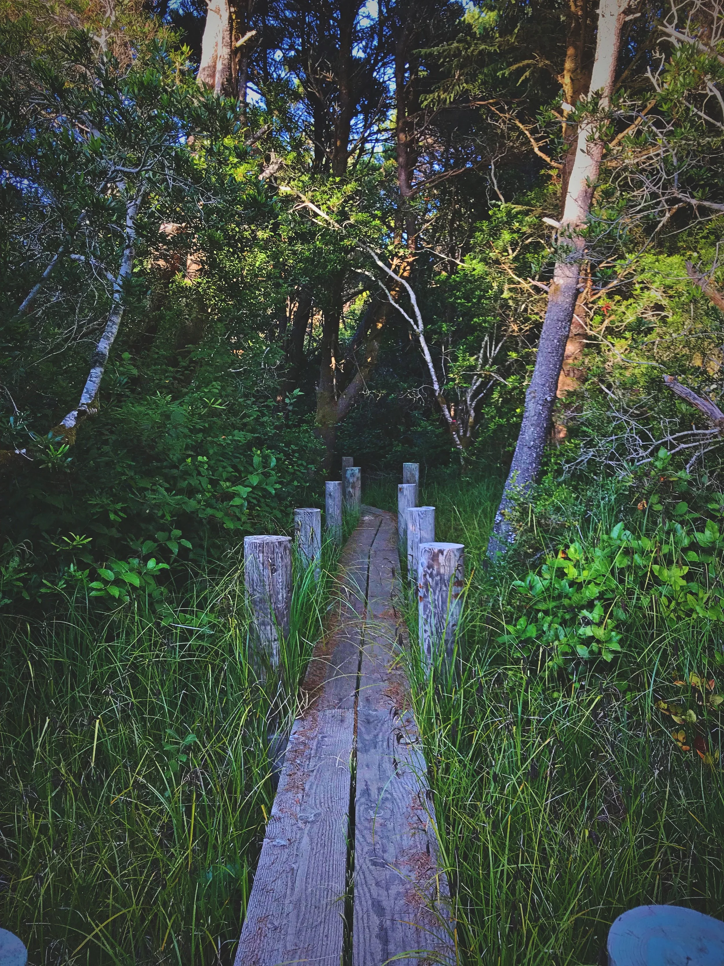These wooden boardwalks make this part of the trail even more charming.