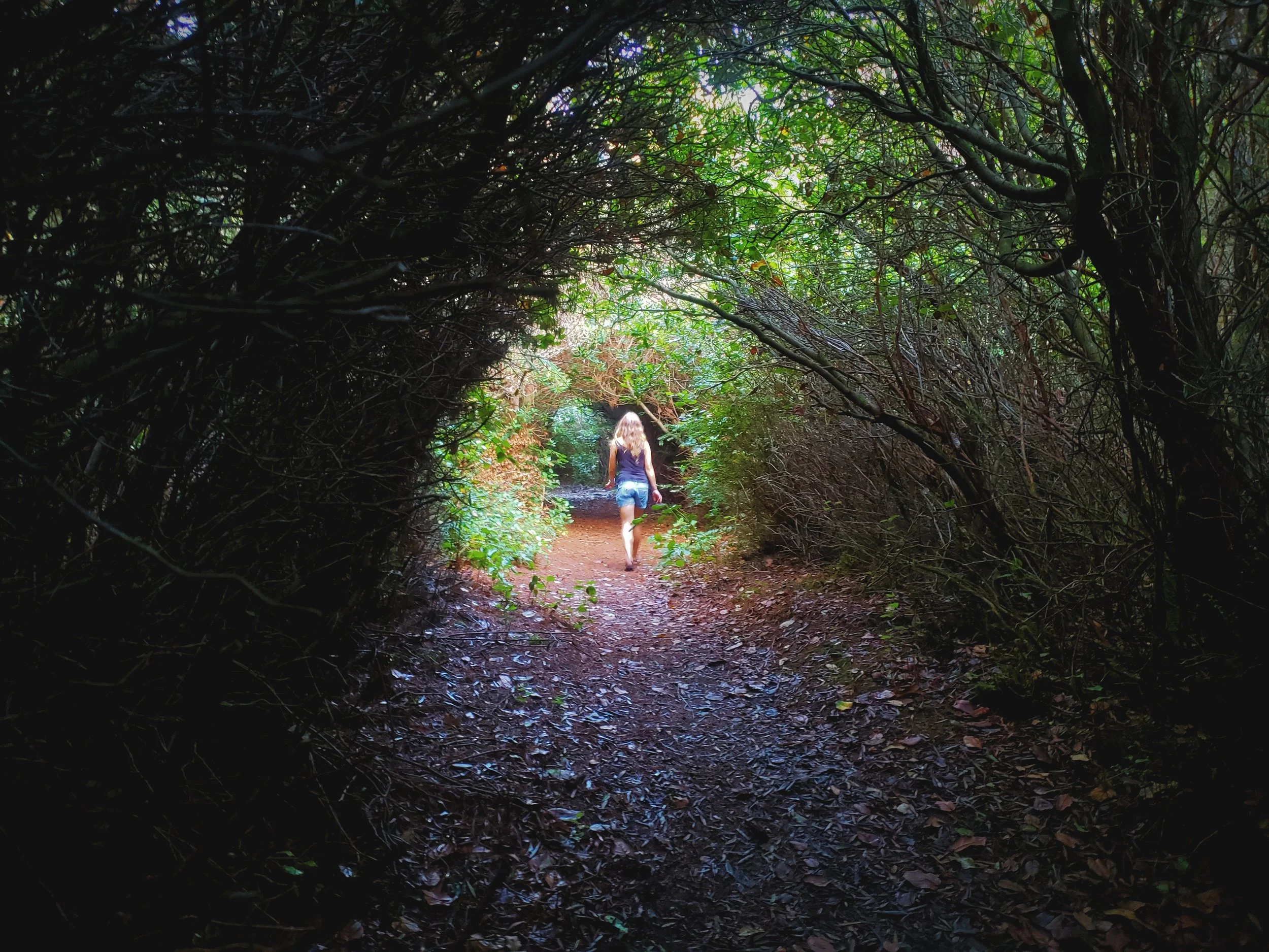 This part of the John Dellenback Dunes Trail has such a different dynamic than the rest of the trail.