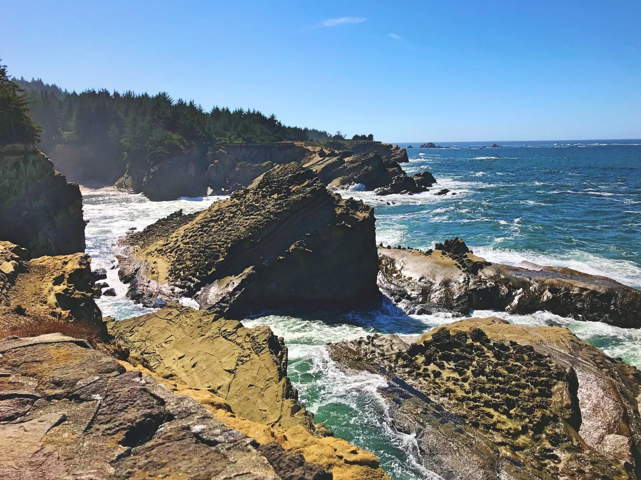 From the trail on the headland above the cove, you can see the jagged rocks that line the shore.
