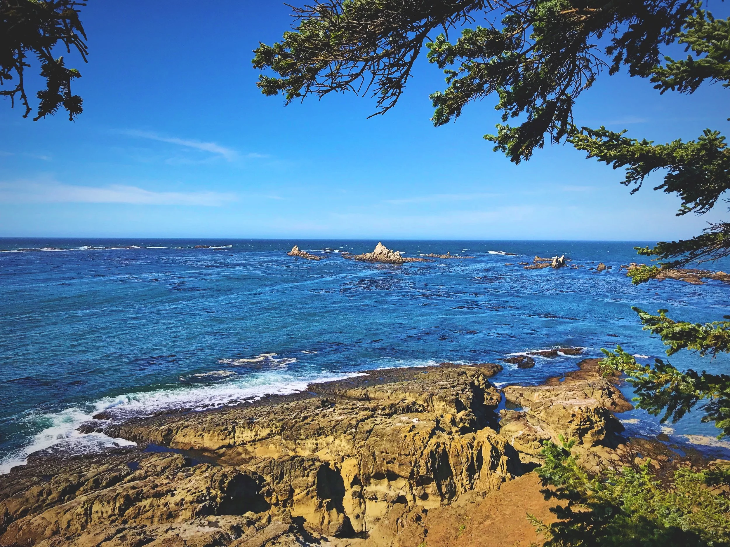 Visible from the Oregon Coast Trail are some of the sandstone formations that make up Simpson Reef.