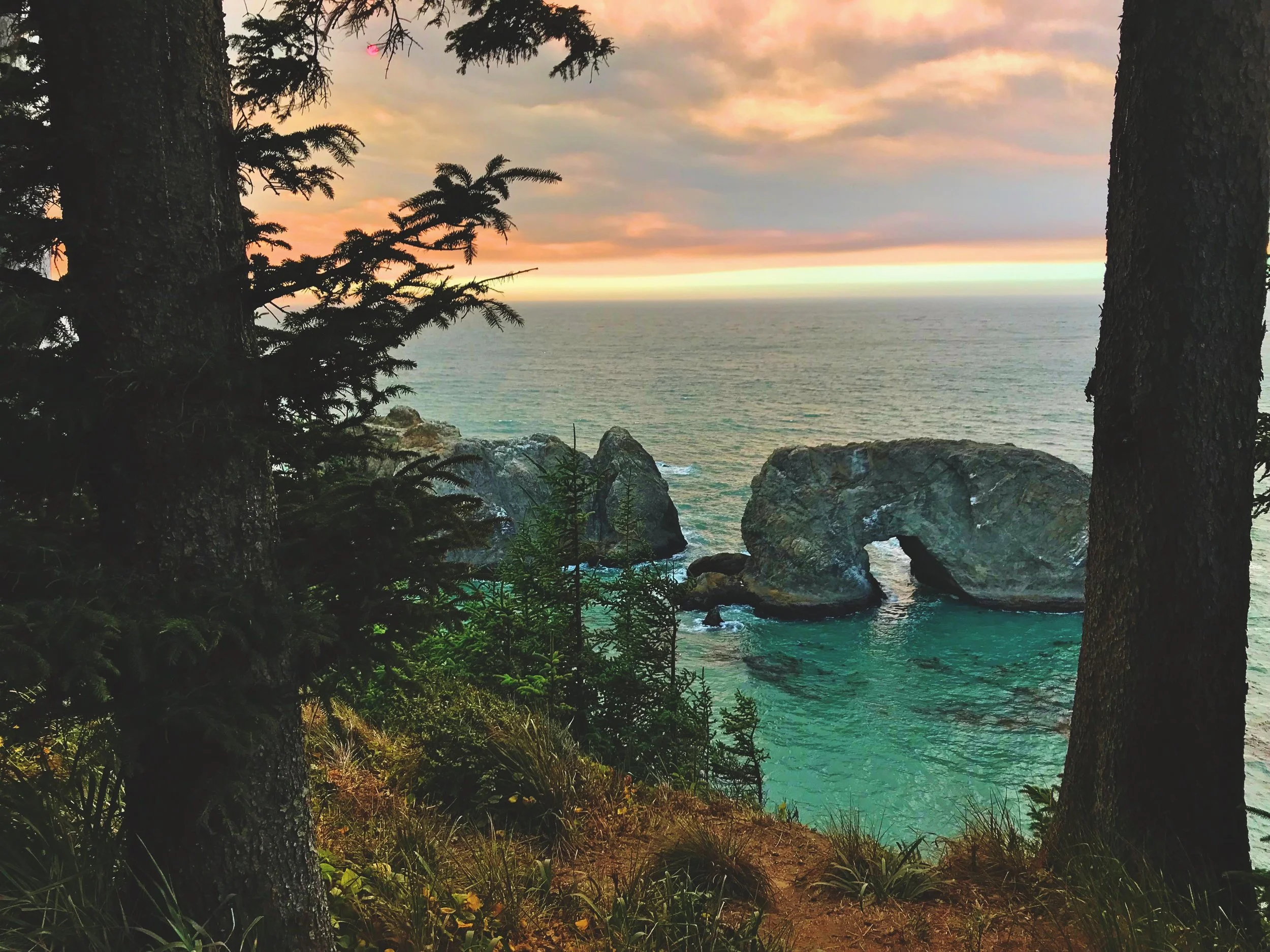 Arch Rock surrounded by the green waters and kelp beds of the southern Oregon coast.