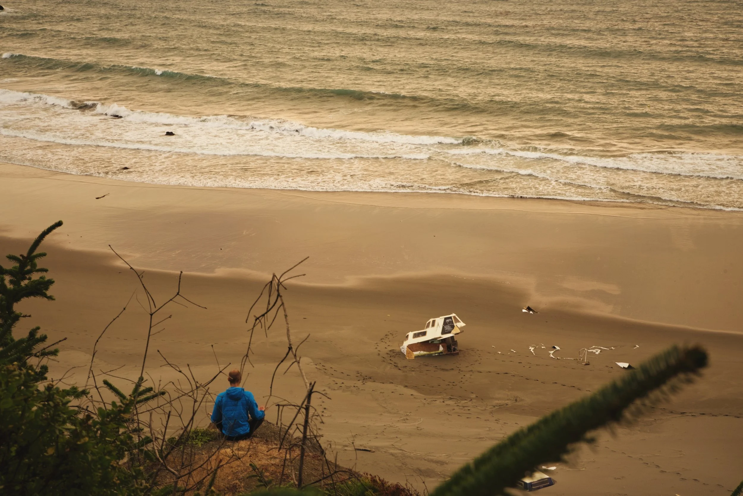 We spotted this guy taking in the ocean over a shipwreck on the beach.