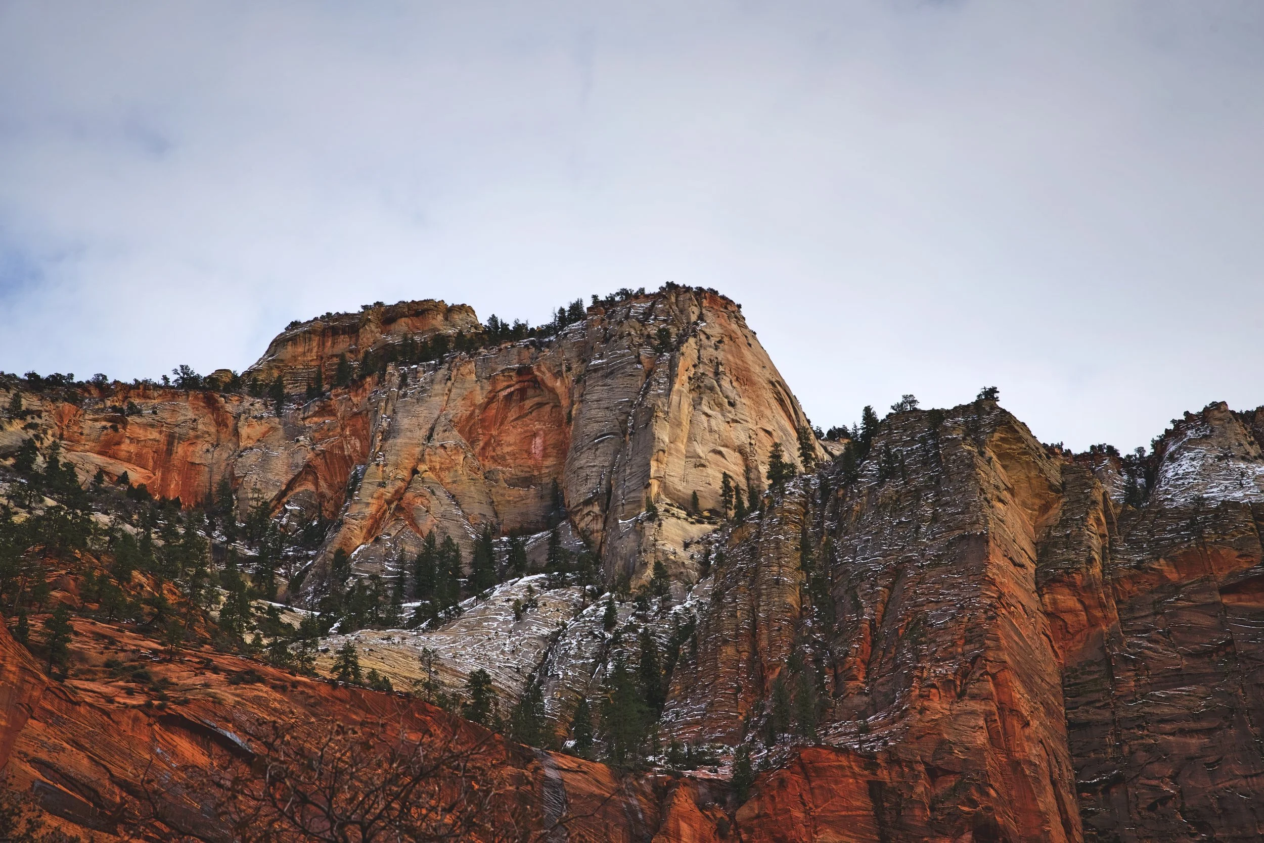 The snow on the sandstone surrounding the canyon is really beautiful in winter.
