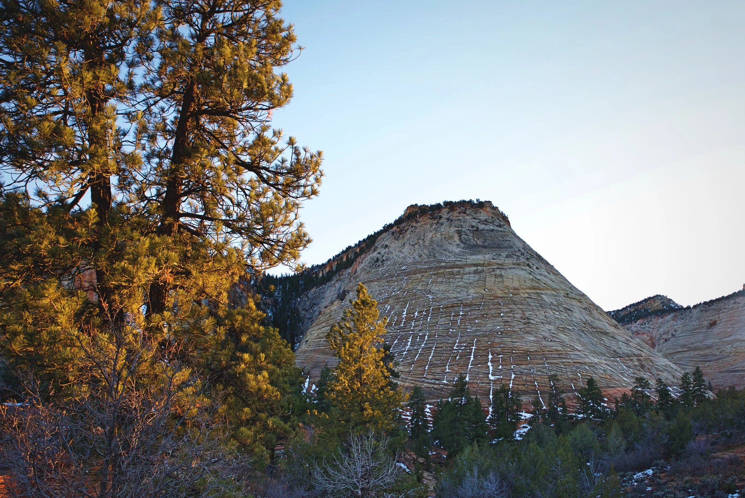 Checkerboard Mesa is this really unique formation on the east side of Zion. In winter, the snow really accentuates the Checkerboard pattern in the stone.