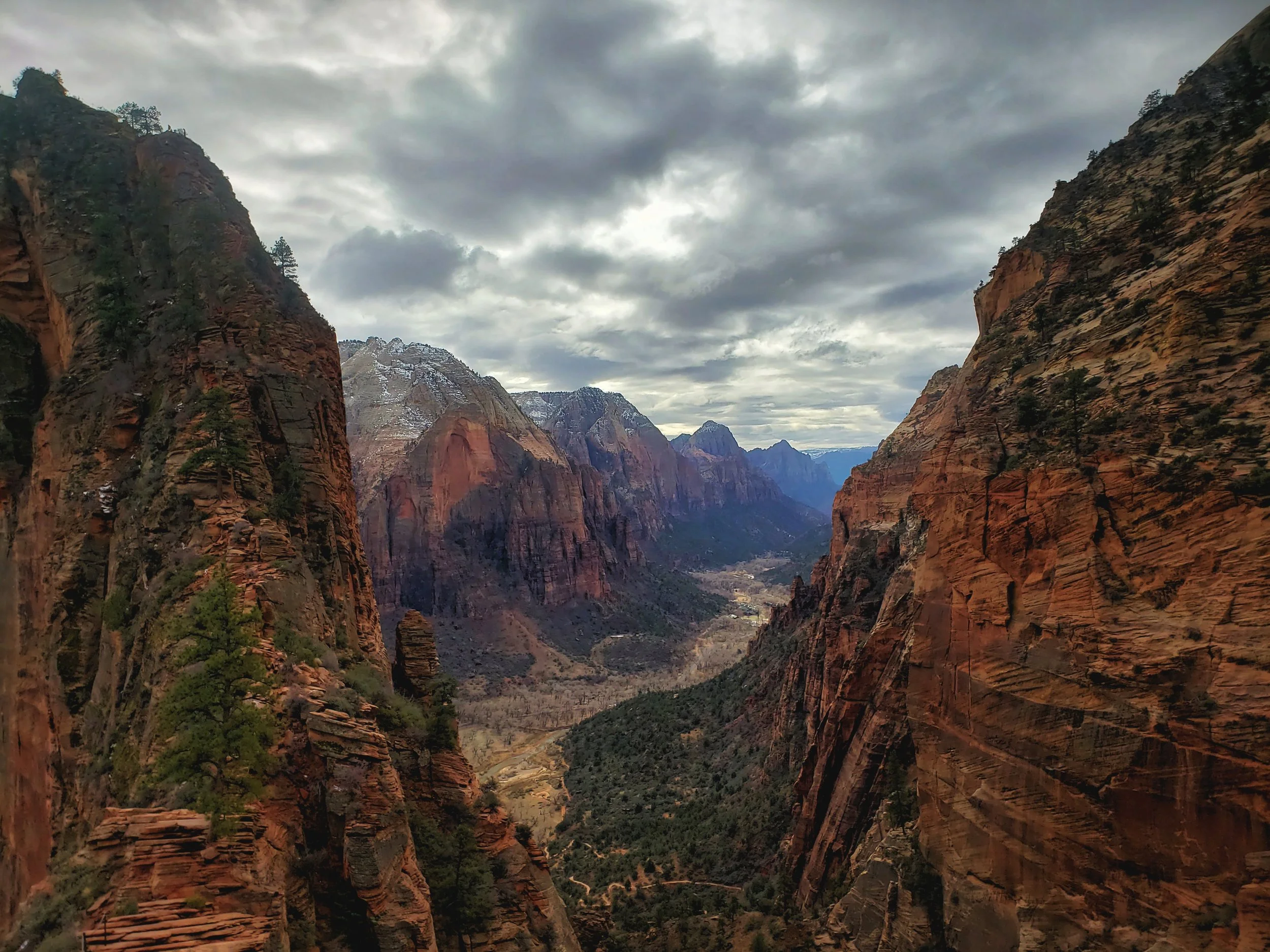 The view from the saddle before the final climb up the ridge of Angels Landing.