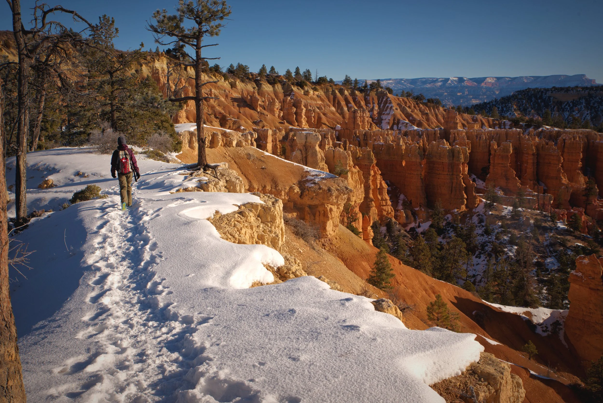 For nearly 3 miles you get to hike along the rim of Bryce Canyon and look down at the hoodoos in the canyon.