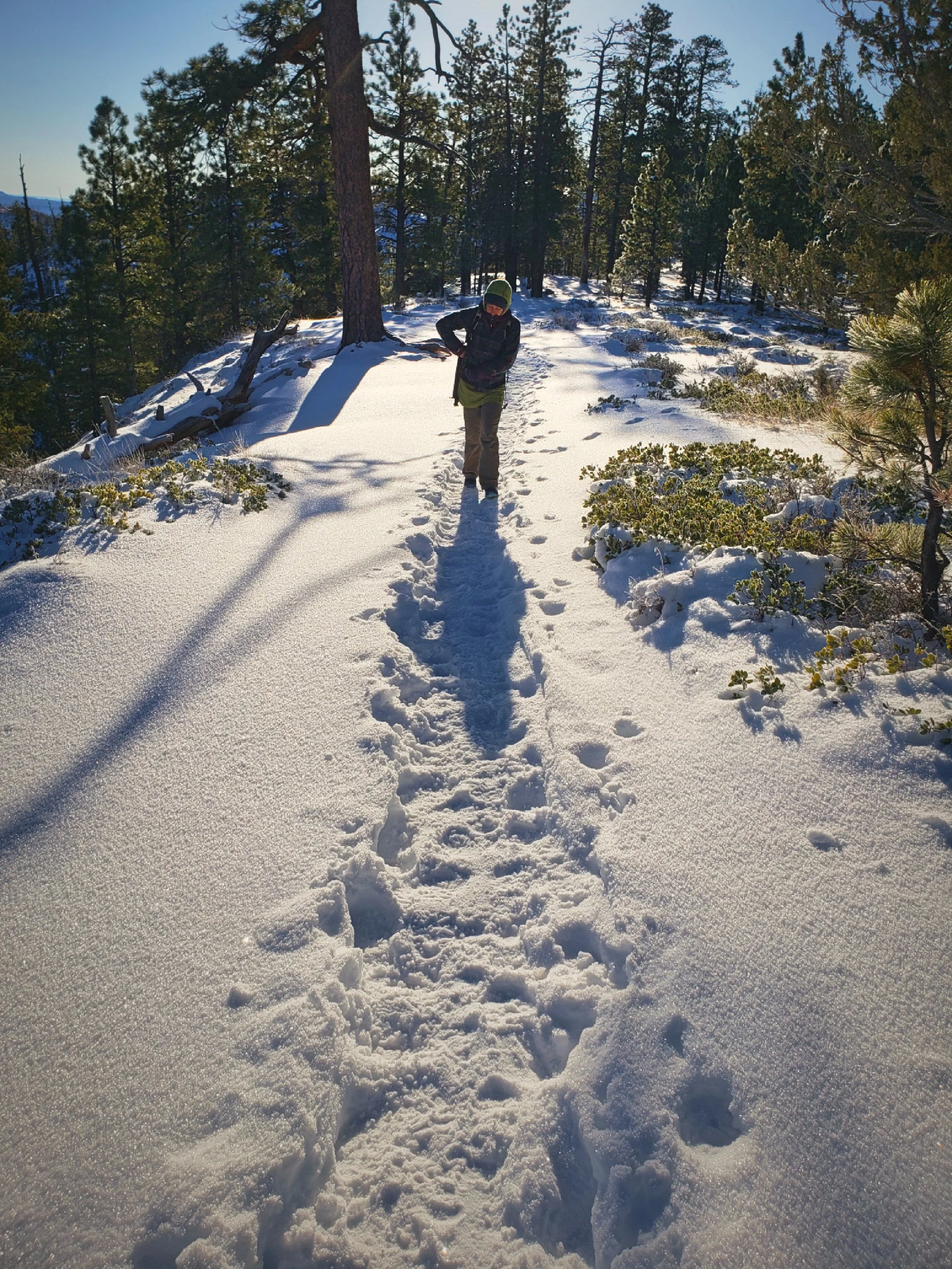 The rim was one of the snowiest parts of the hike.