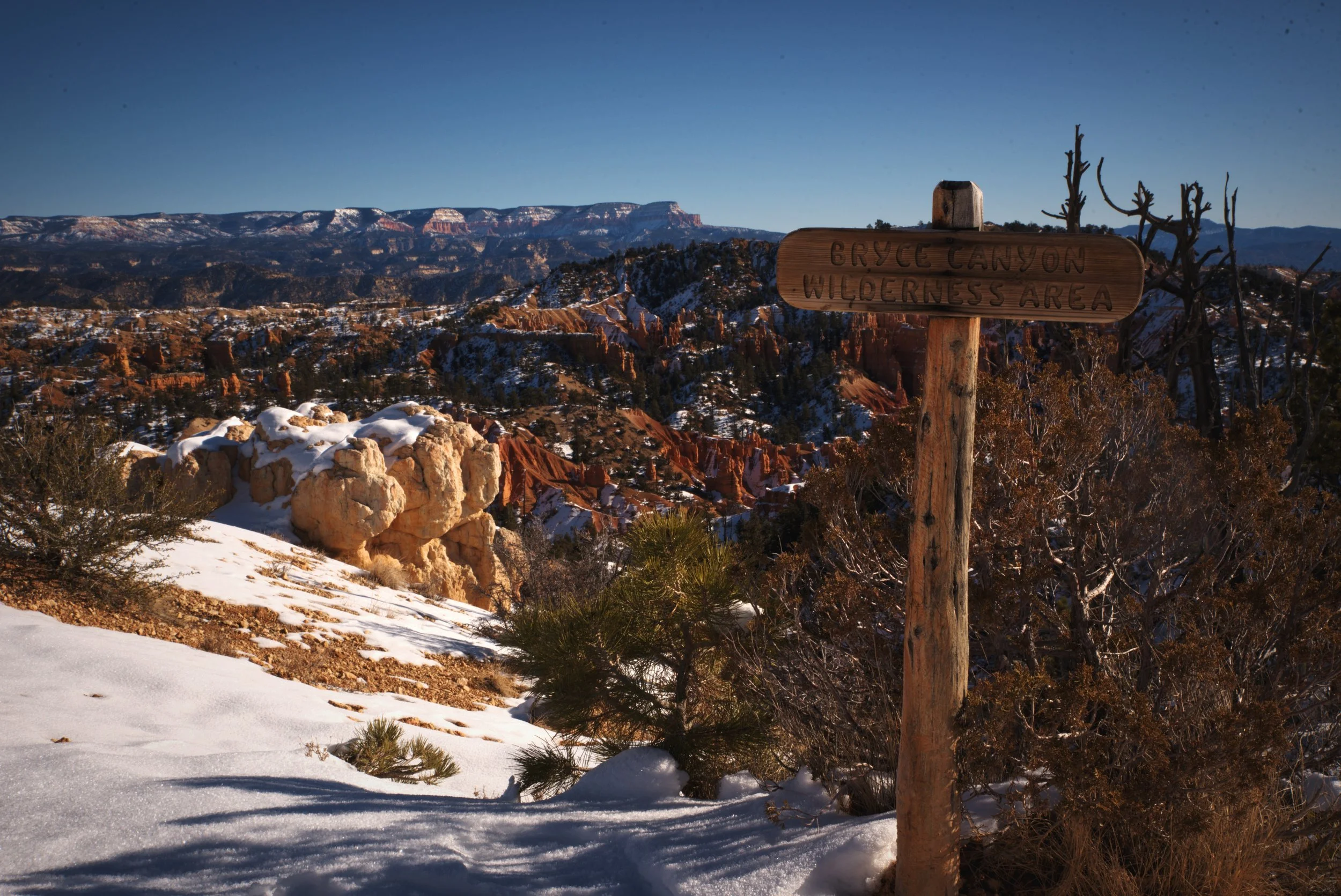 The Fairyland Loop takes you into the wilderness portion of Bryce Canyon and away from the more popular canyon rim.