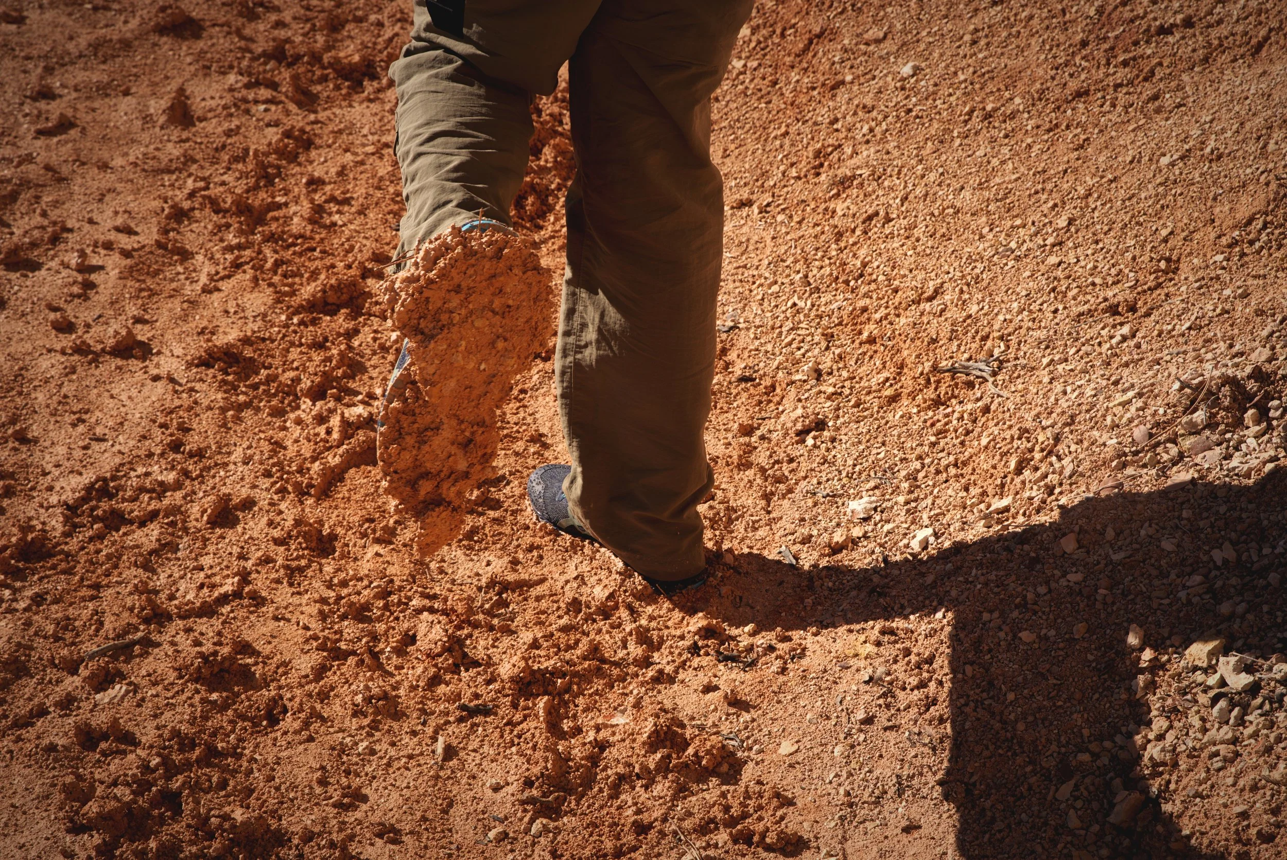 Fortunately my trail running shoes were totally fine for the hike. Although, we did encounter some crazy stick mud.