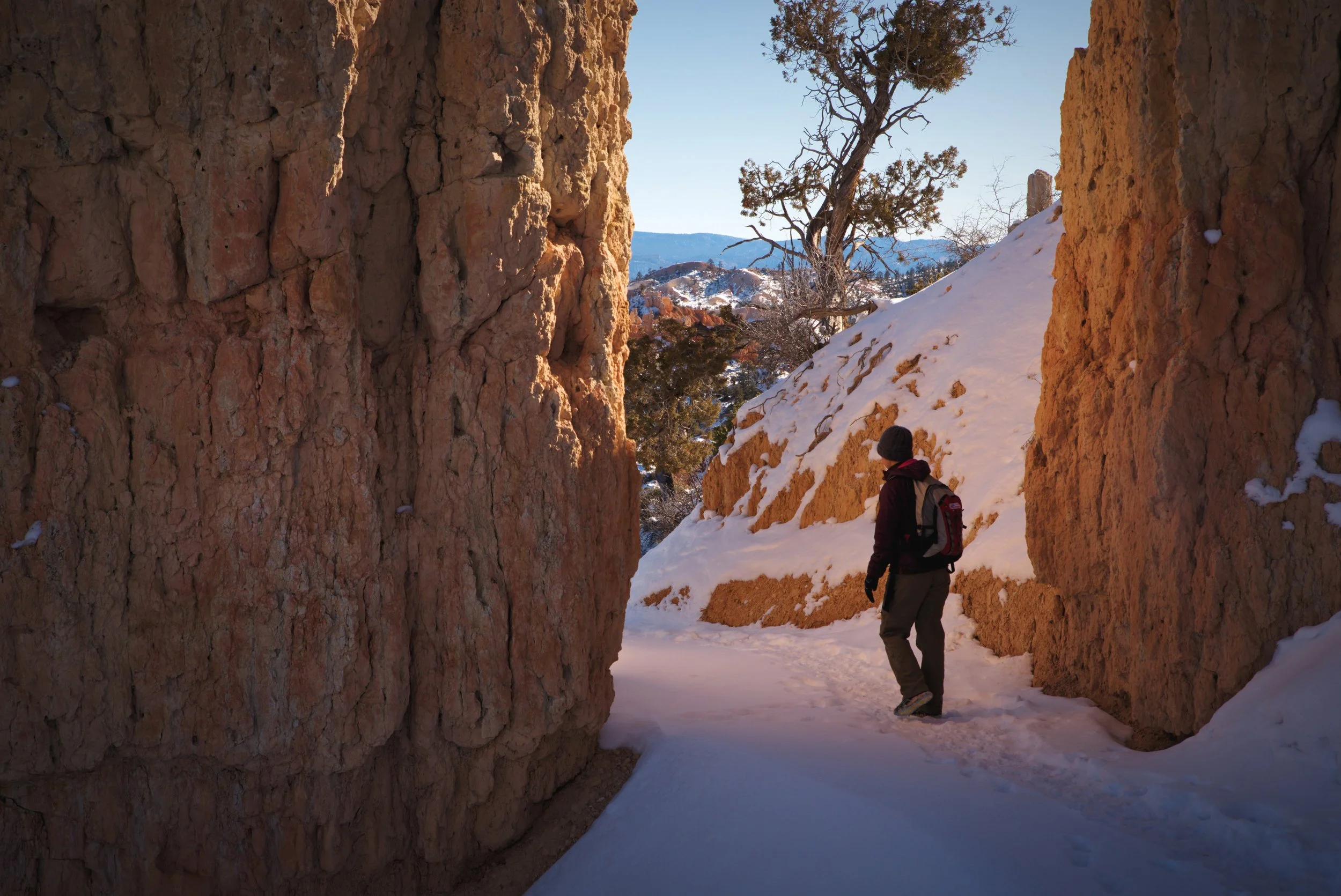This trail is interesting because you get to go down in the canyon and walk between hoodoos.