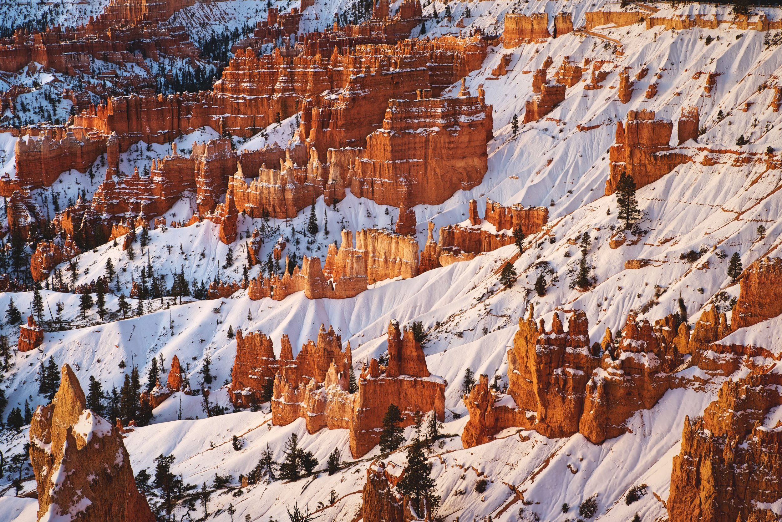 visit bryce canyon in winter