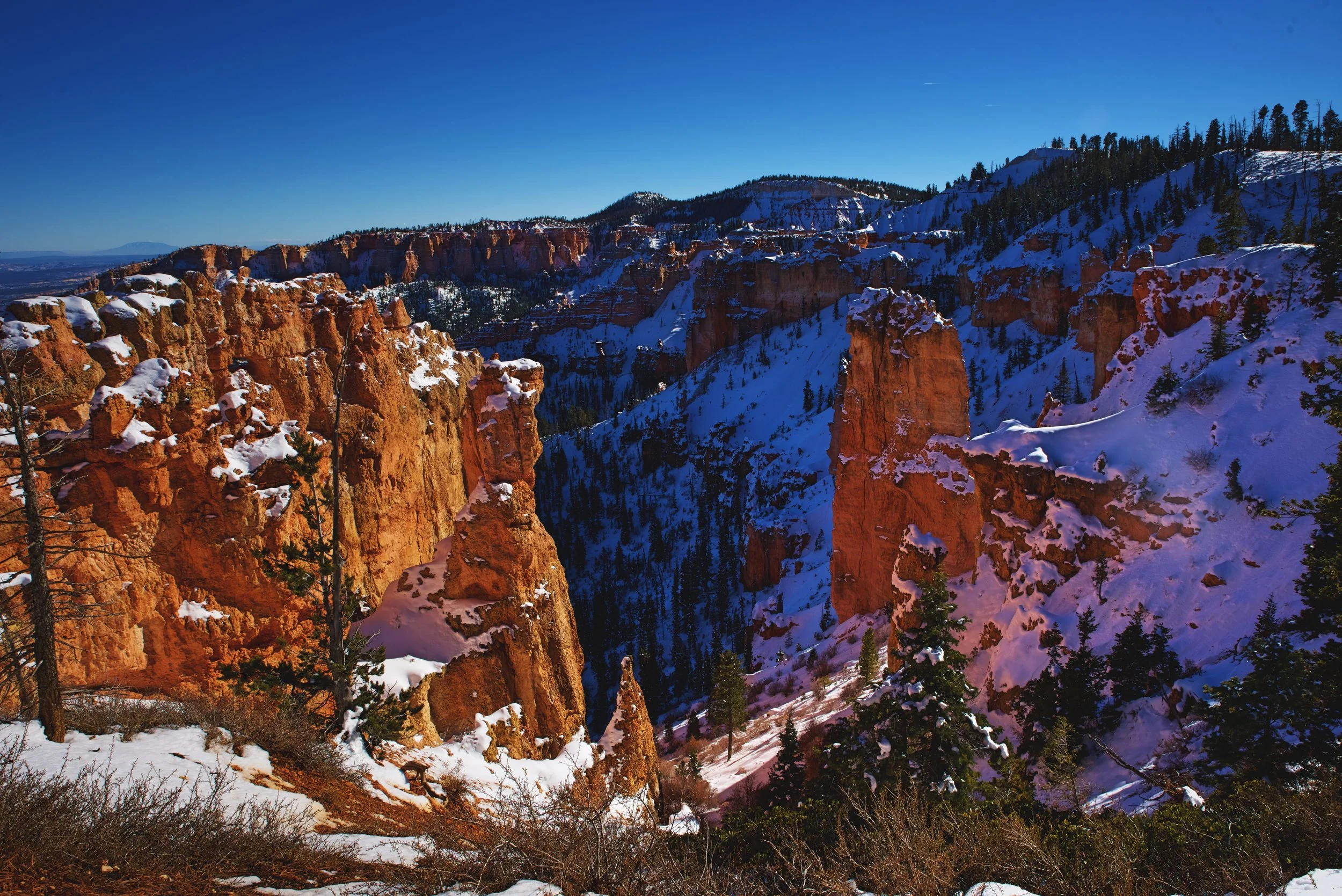Black Birch Canyon offers a much closer view of the red cliffs of Bryce Canyon.