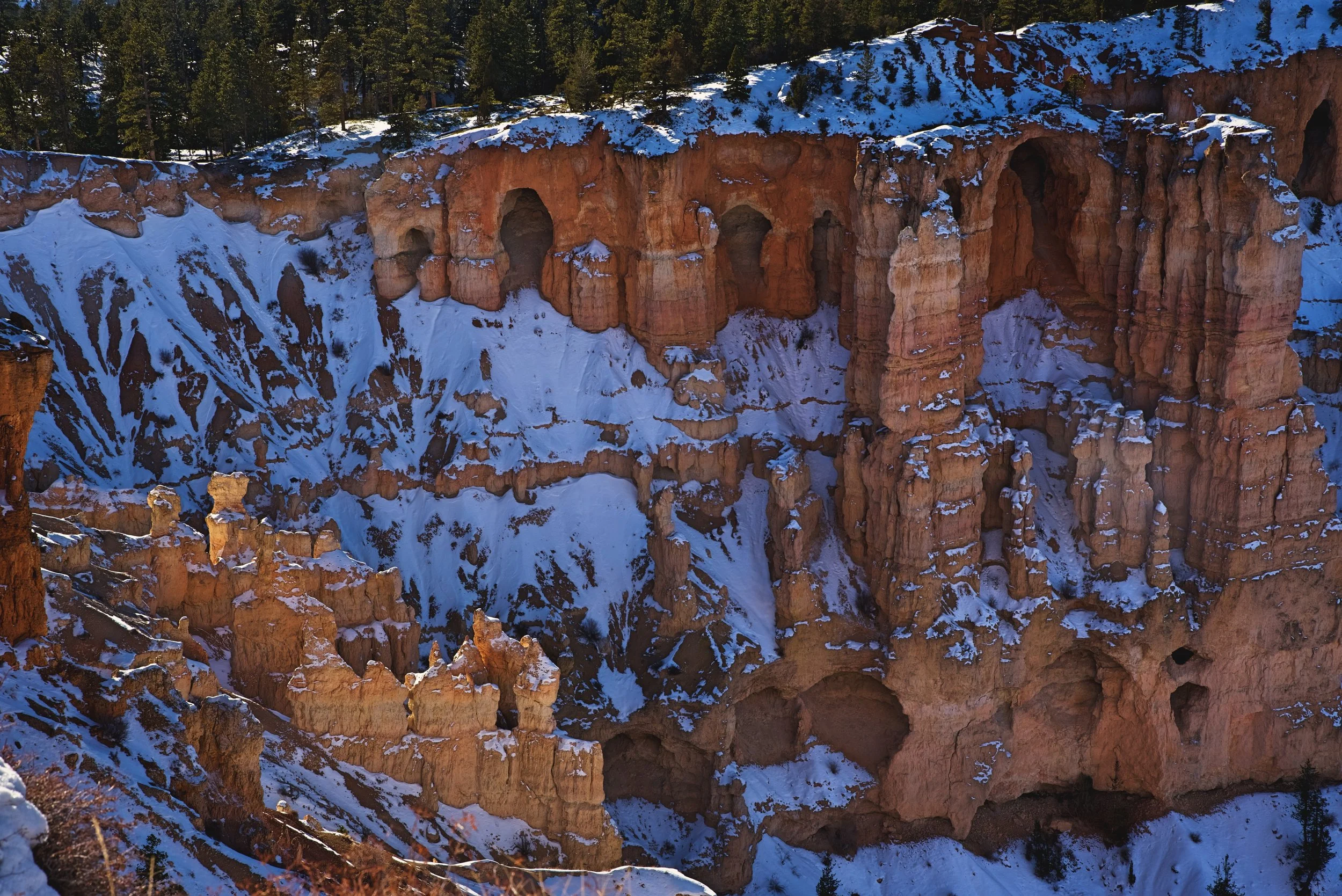 The Grottos at Bryce Point are a series of natural arches along one of the cliffs.