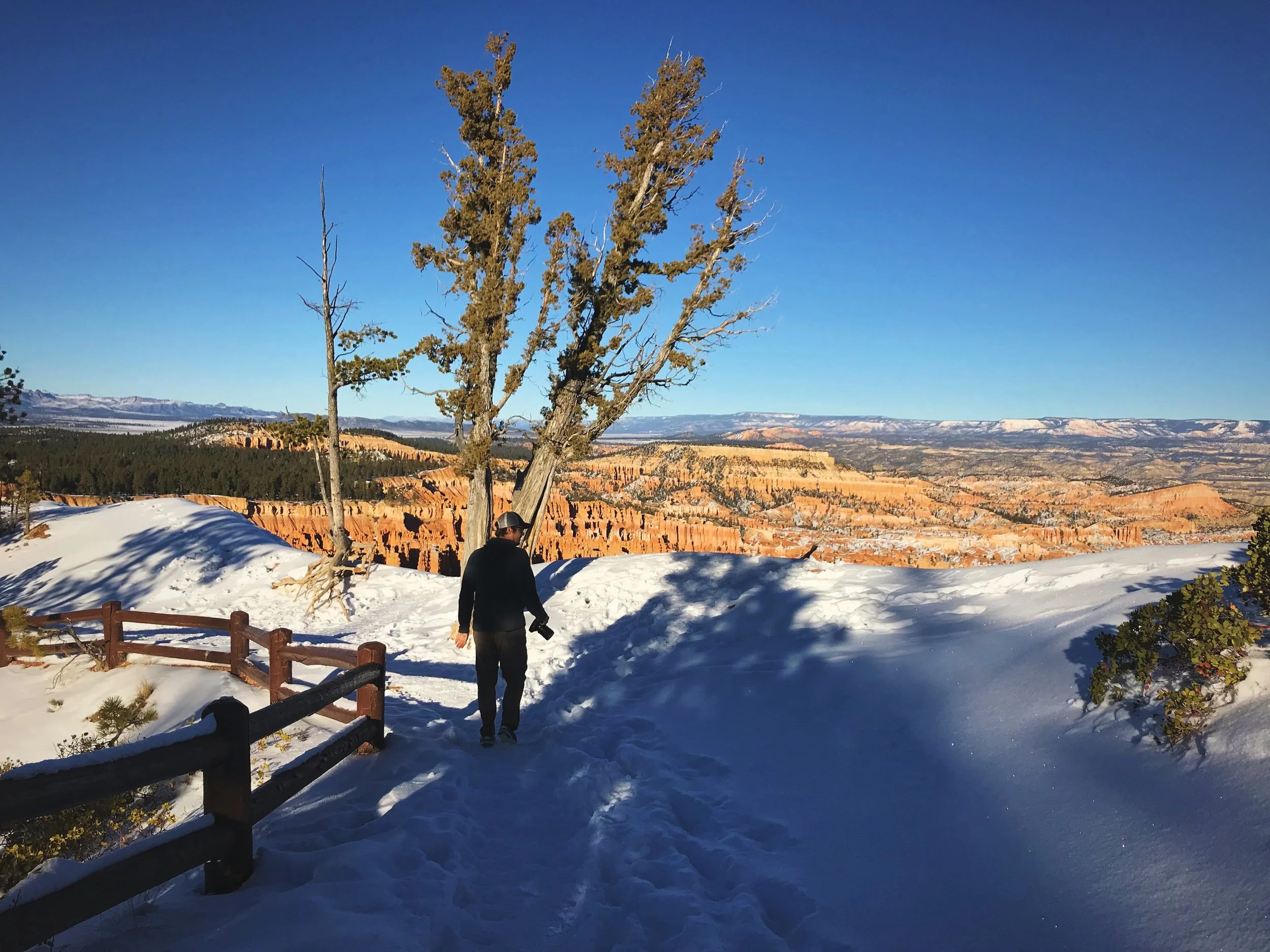 Bryce Canyon was covered in a beautiful sparkly layer of snow when we were visiting in mid-December.