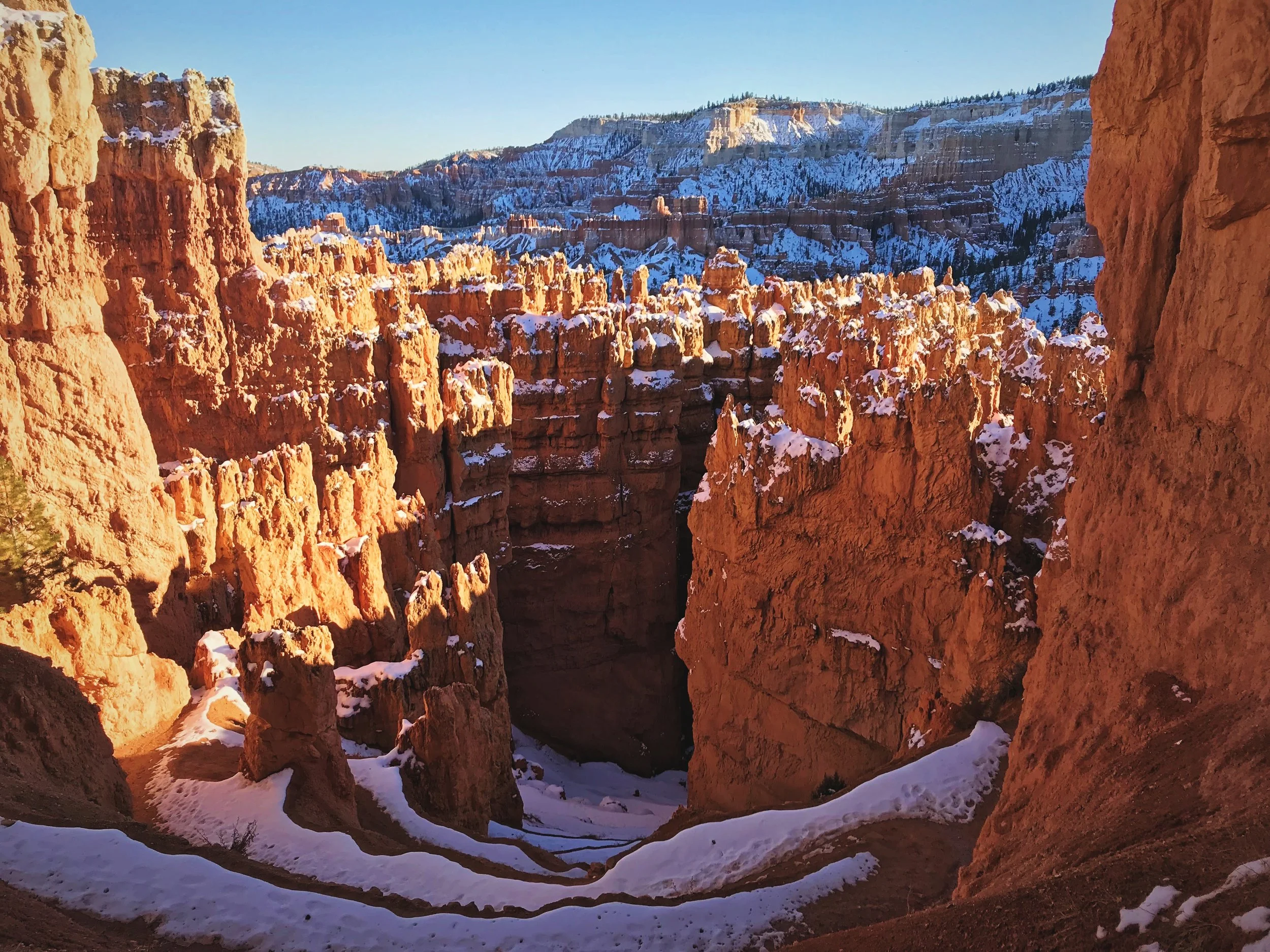 A series of switchbacks leading down to the Navajo Loop.