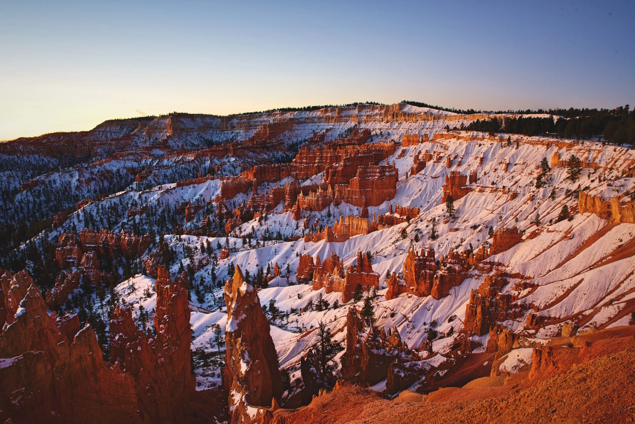 The snow is turned a rosy color when the sun rises in winter.