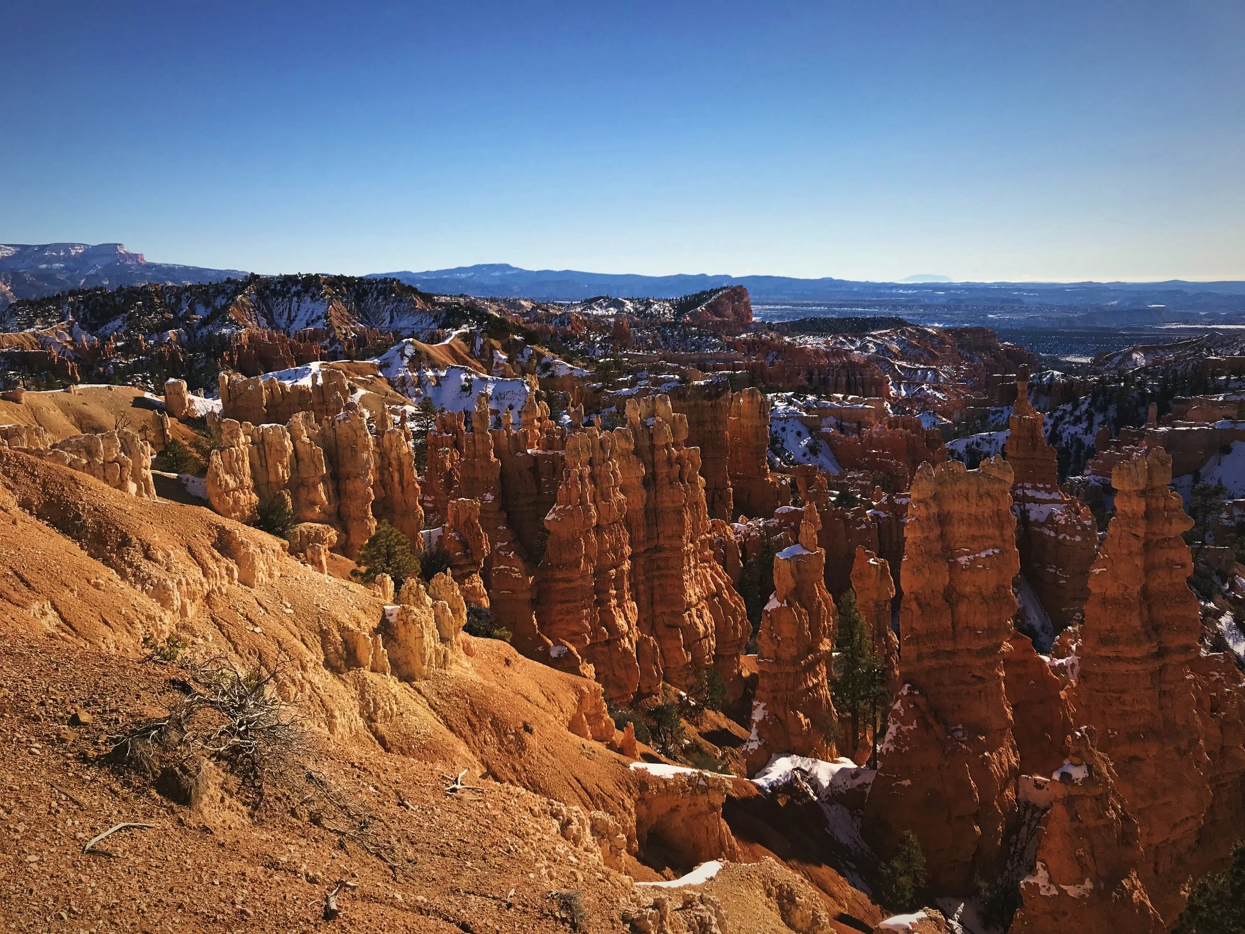 The hoodoos of Fairyland have a different look than those in Bryce Amphitheater.