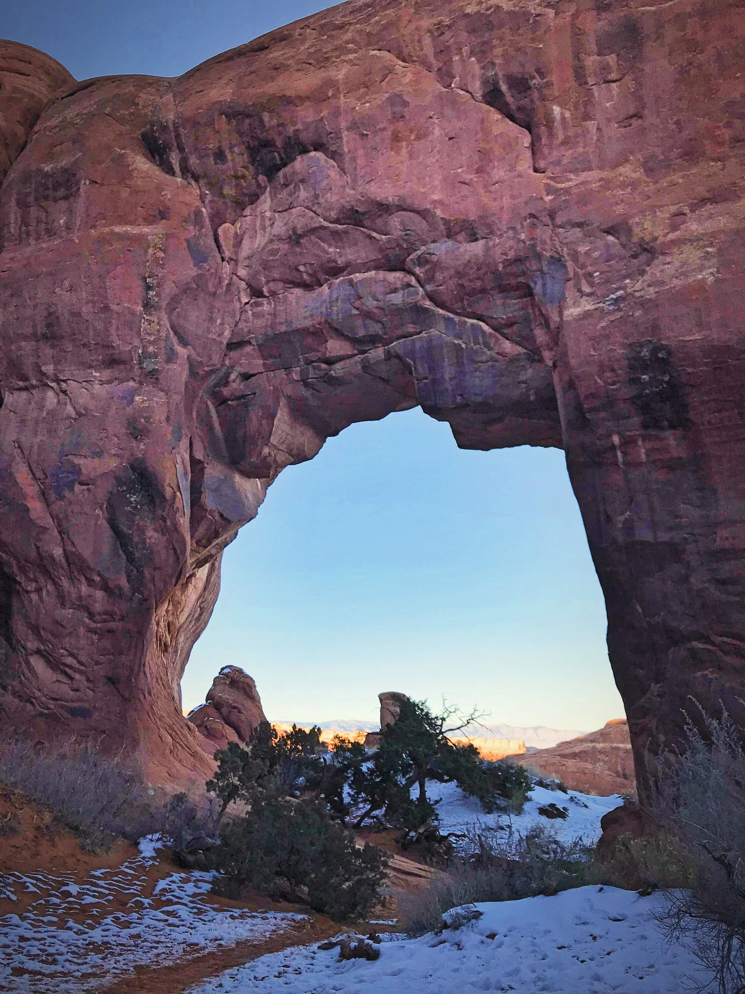 Pine Tree Arch is a very accessible arch. It’s only a short distance from the trailhead.