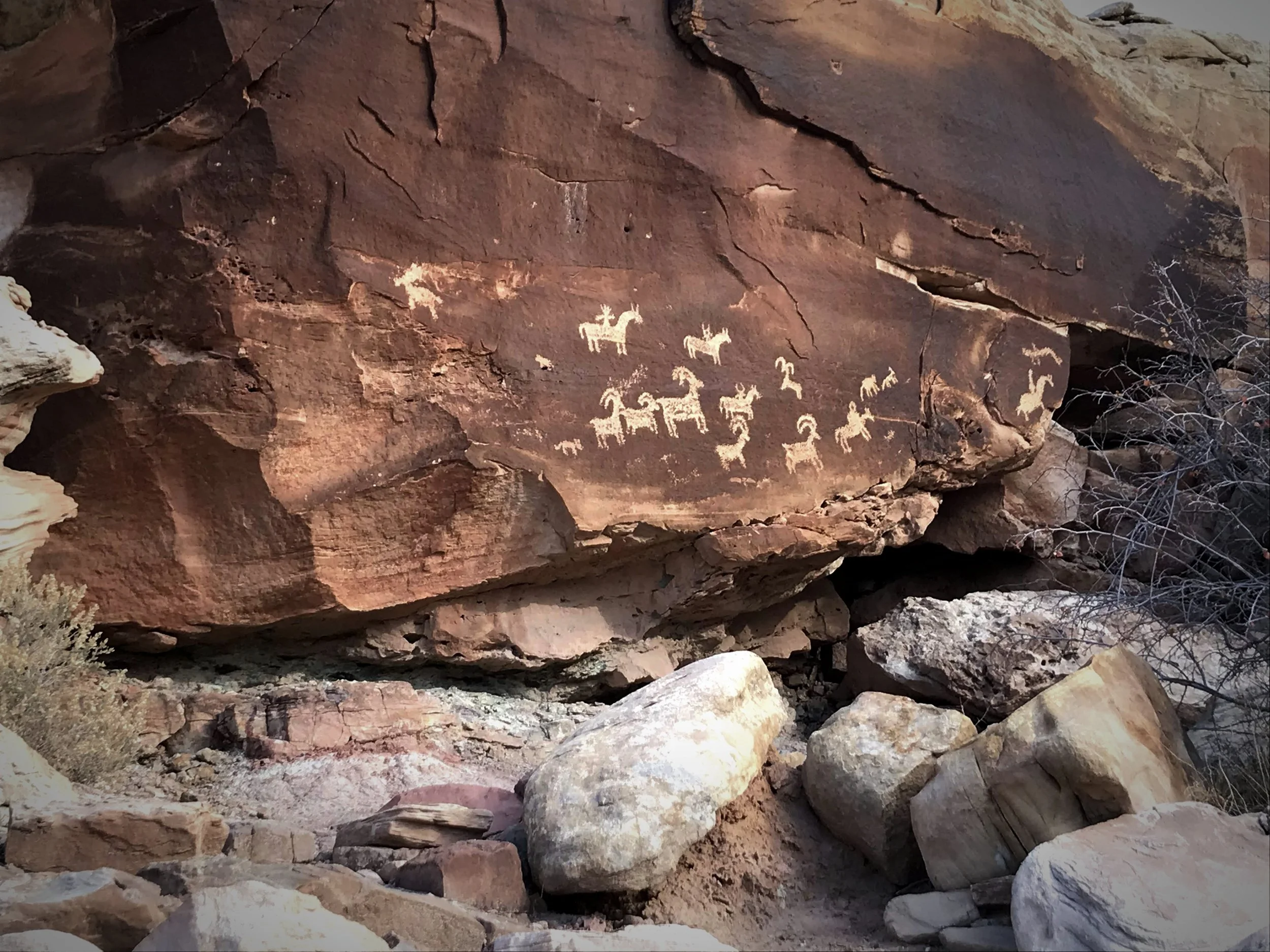 The Ute petroglyphs are really defined in the dark desert varnish on the rock.