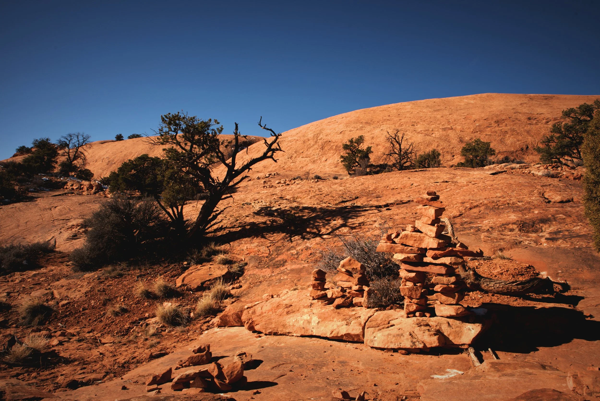 Cairns along the Whale Rock Trail.