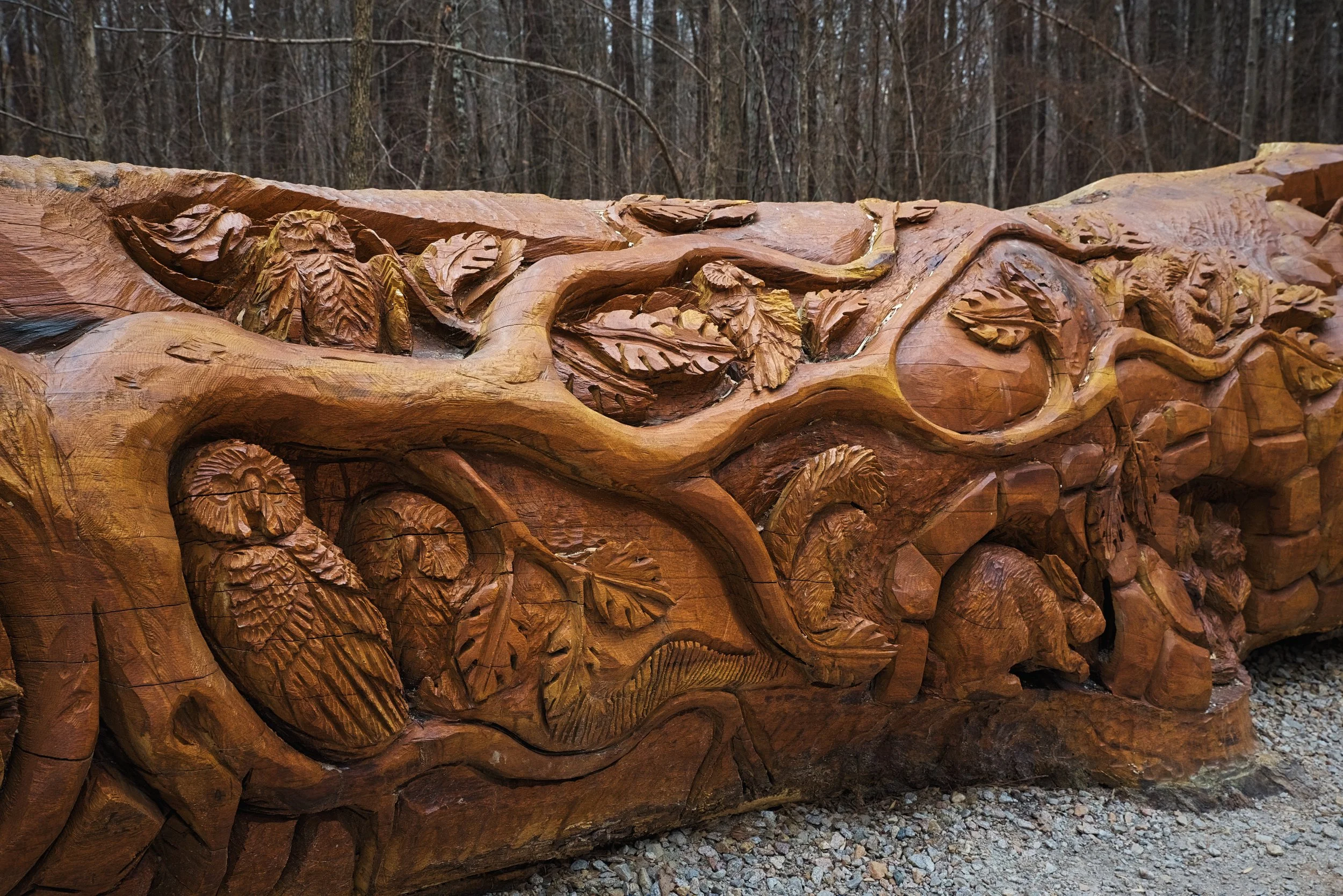 When you find the chainsaw art, it’s kind of unbelievable that it’s just on the side of the trail in this otherwise typical urban park.