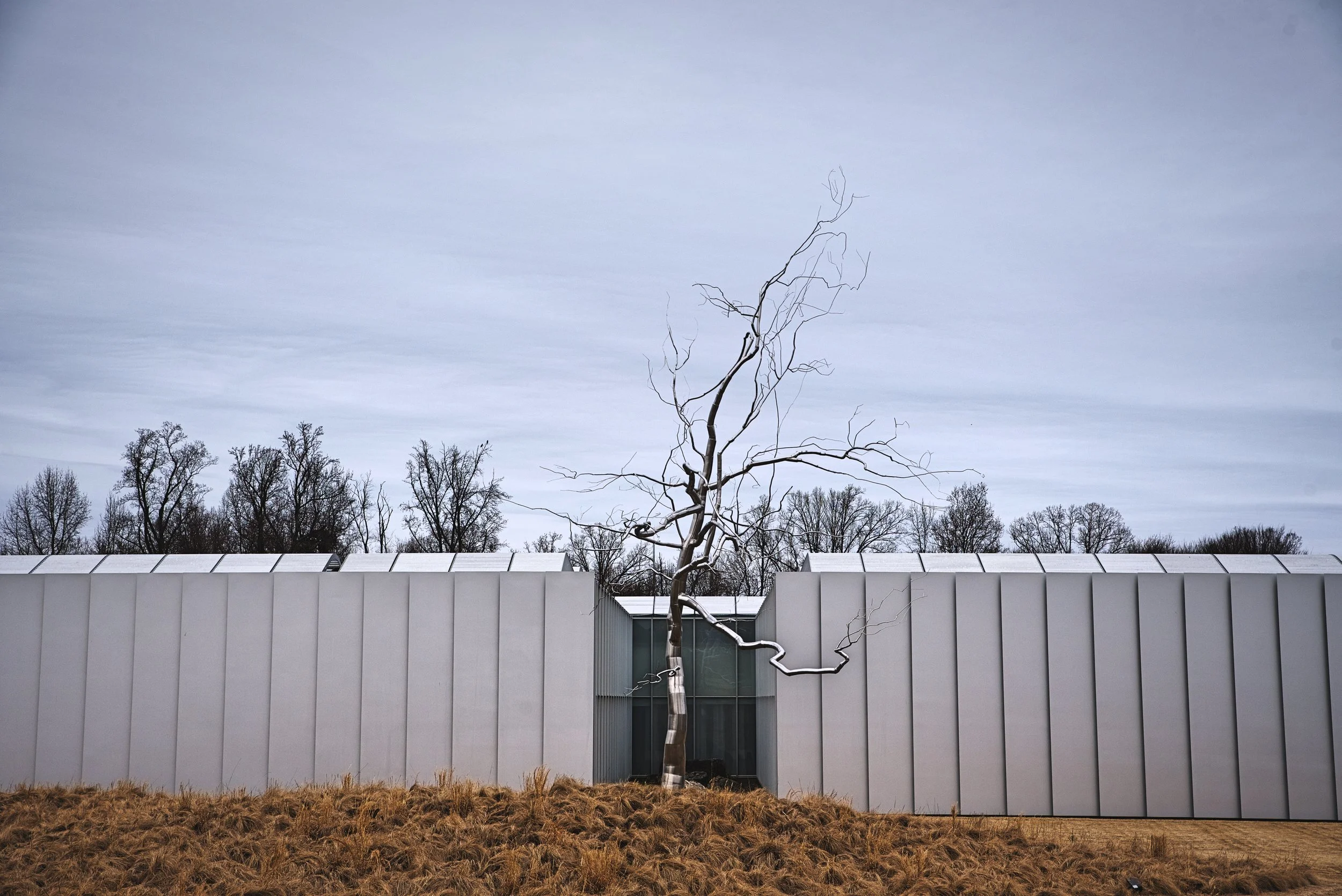 There is one of these silver trees by Roxy Paine in the National Gallery of Art Sculpture Garden in DC where we used to live.