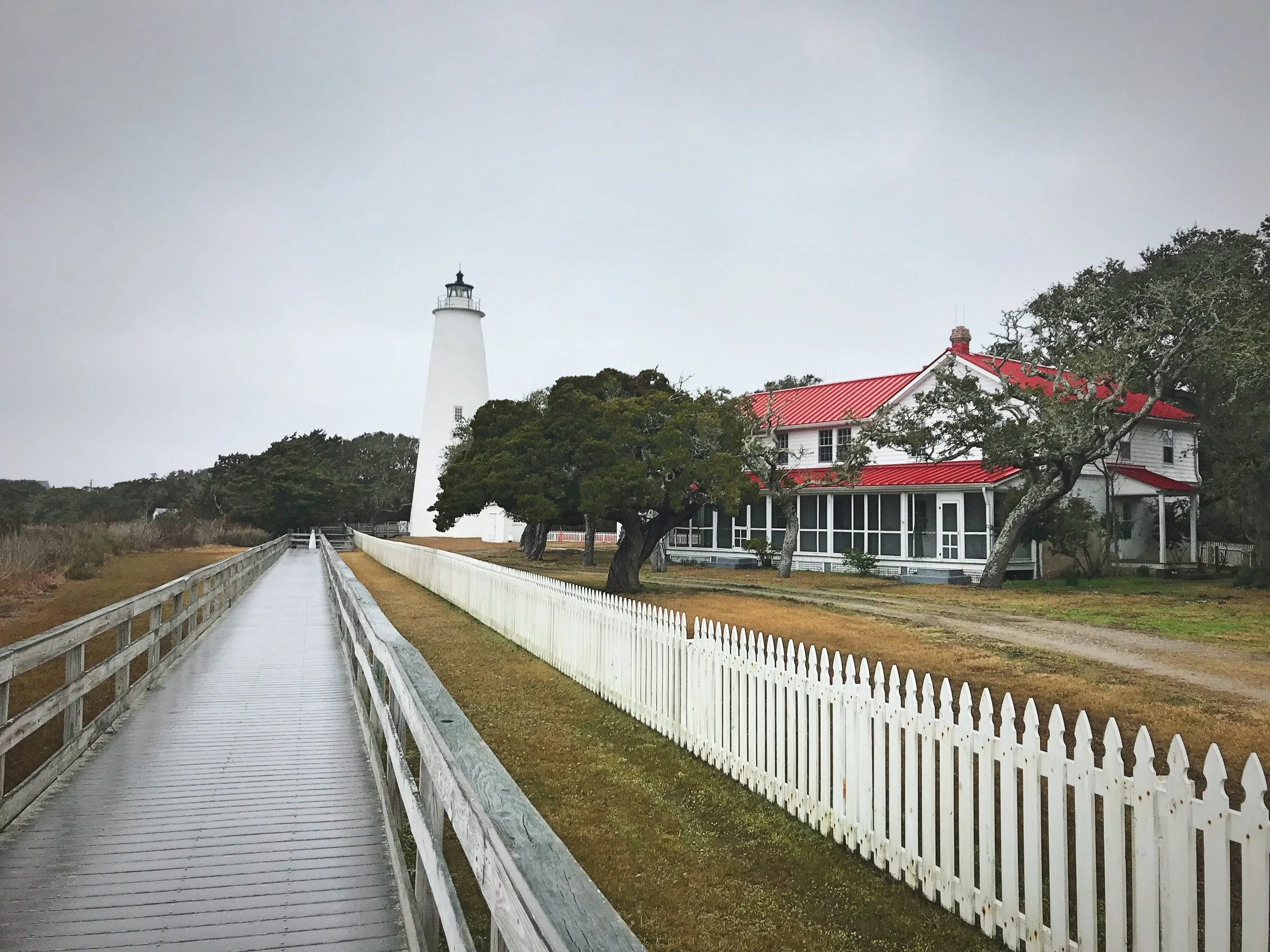 We actually thought the trees around the lighthouse were way more interesting than the tower itself.