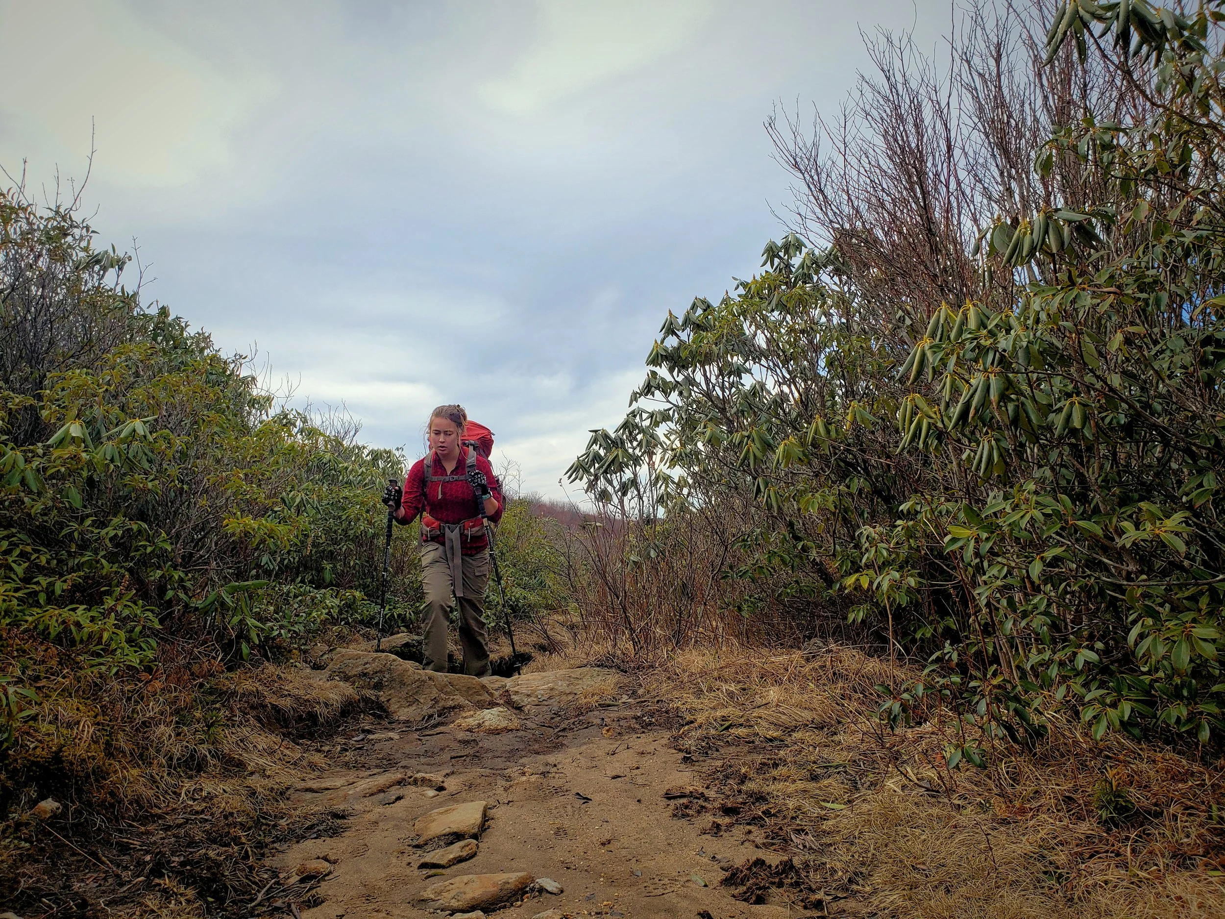 There are many places along the Art Loeb Trail that would probably be beautiful in June when the Rhododendrons are blooming.