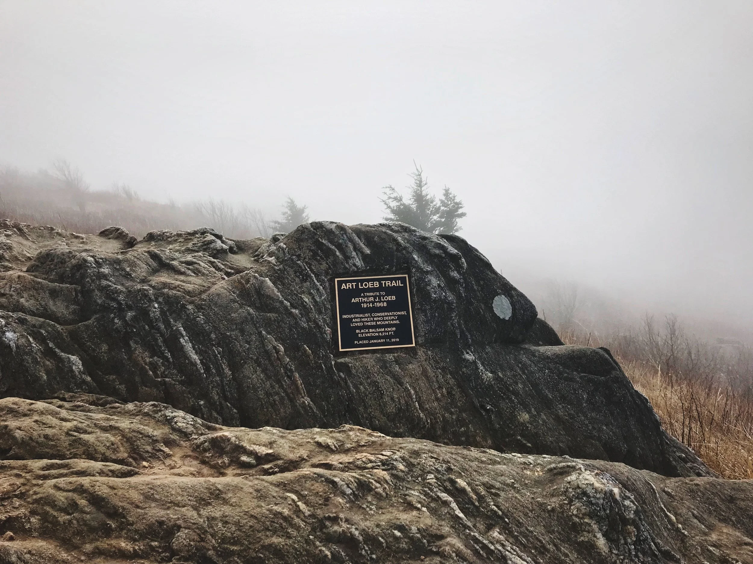 As soon as we emerged above the trees, we quickly found out how foggy and windy it was on top of the highest portion of the Art Loeb Trail.