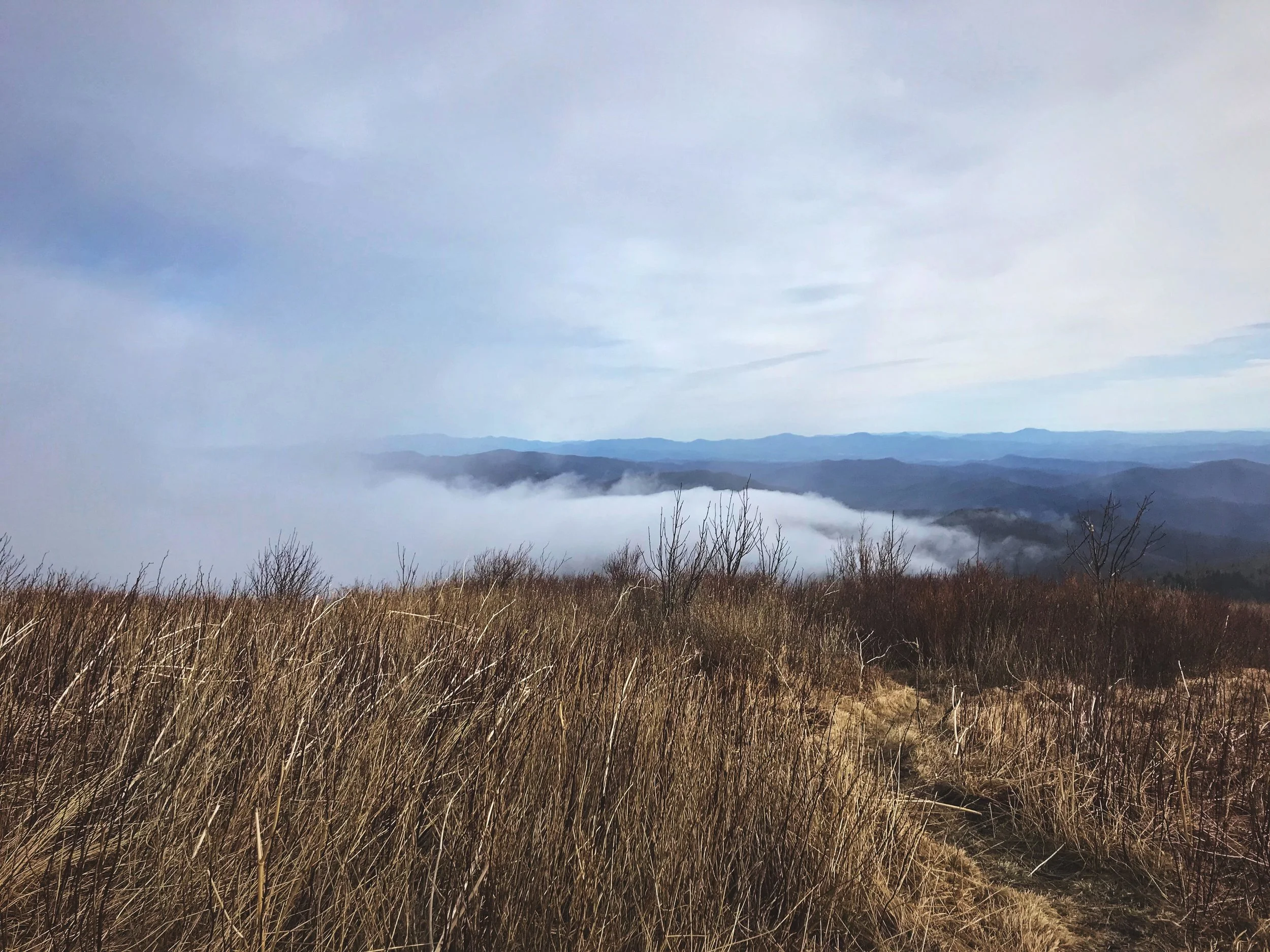 The fog was really beautiful, yet bitterly cold.